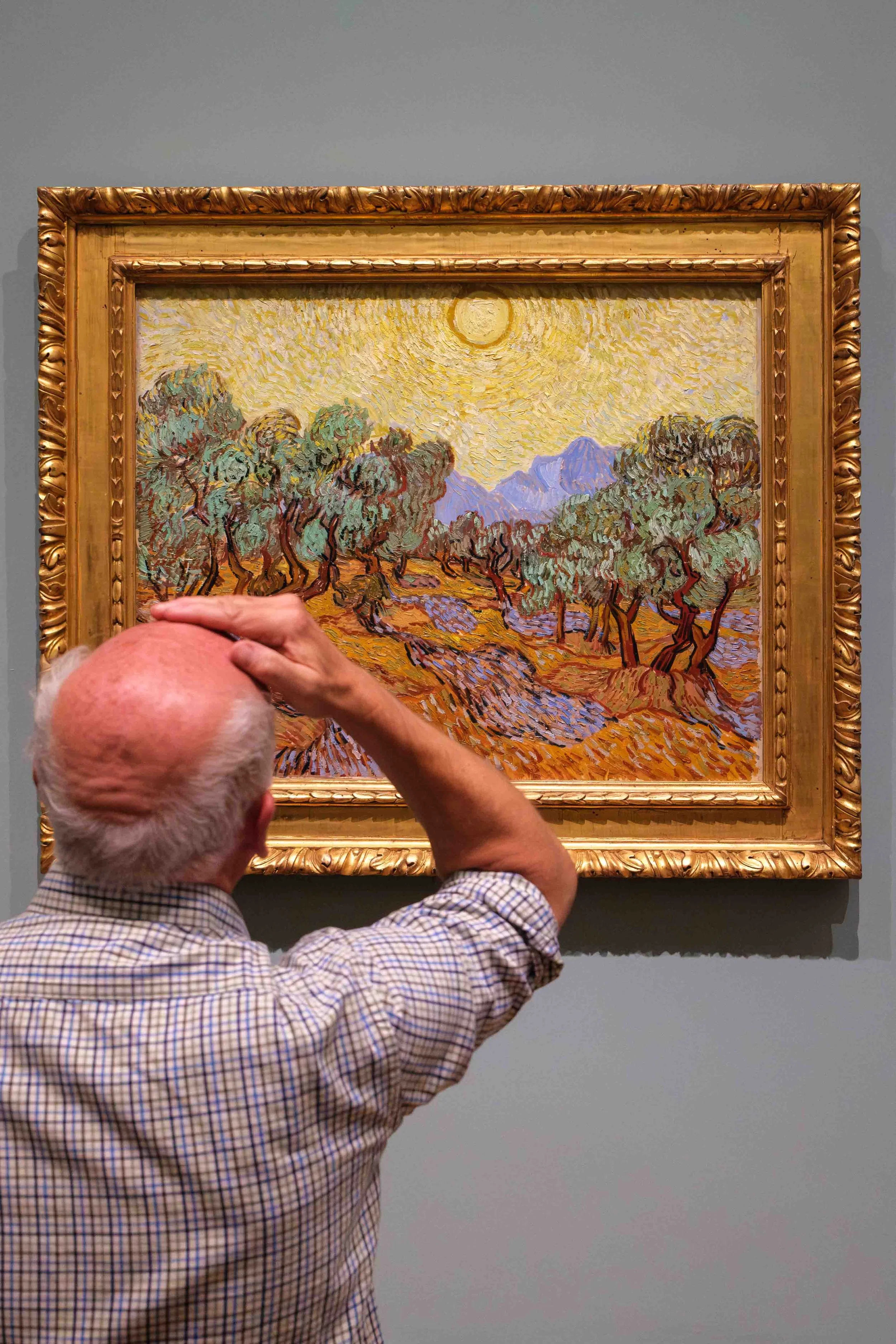 An elderly man with white hair and a checkered shirt stands in front of a painting at an art gallery, scratching his head as he looks at the art. The painting depicts a vibrant landscape with trees, mountains, and a bright sun in a style reminiscent 