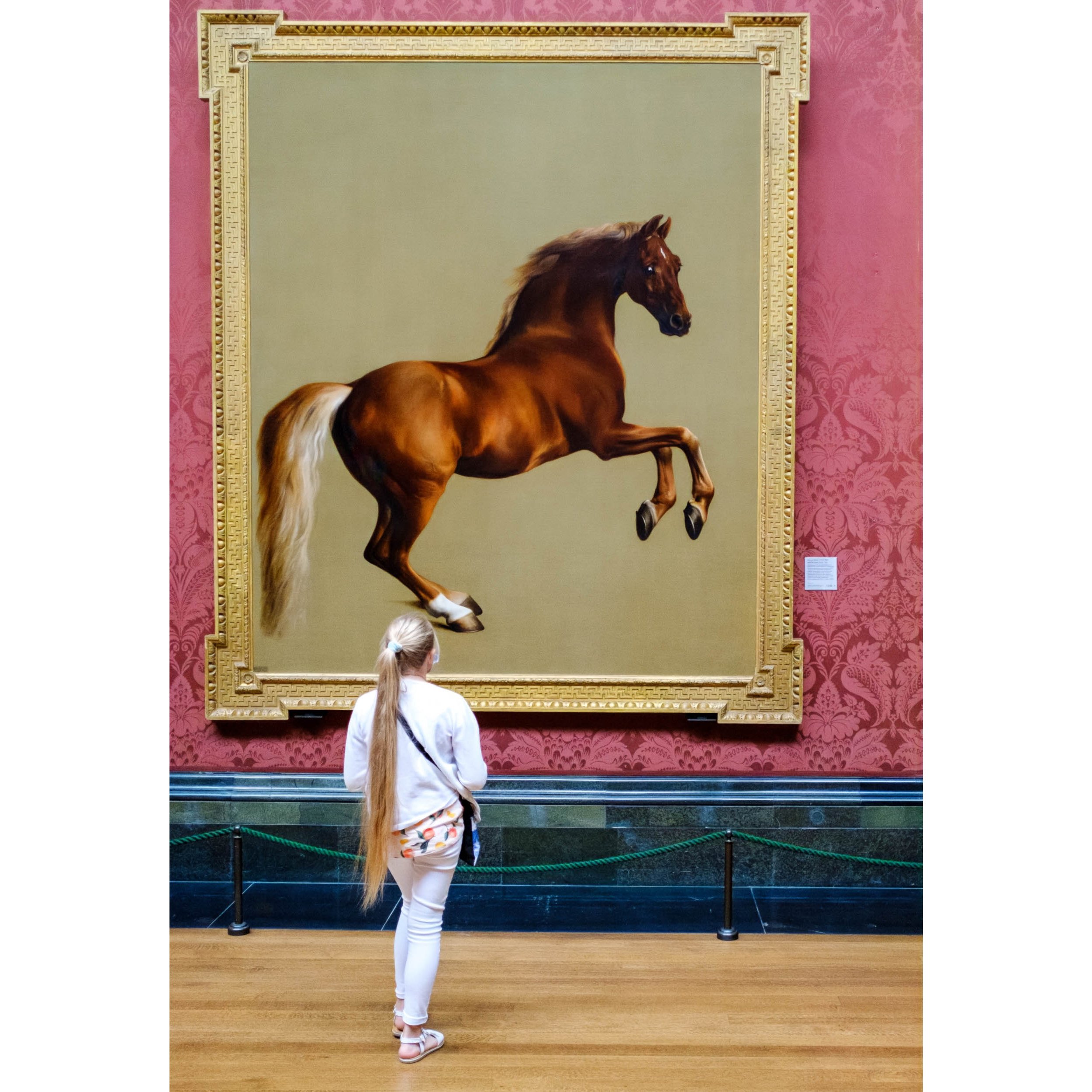 Whistlejacket Square.jpg