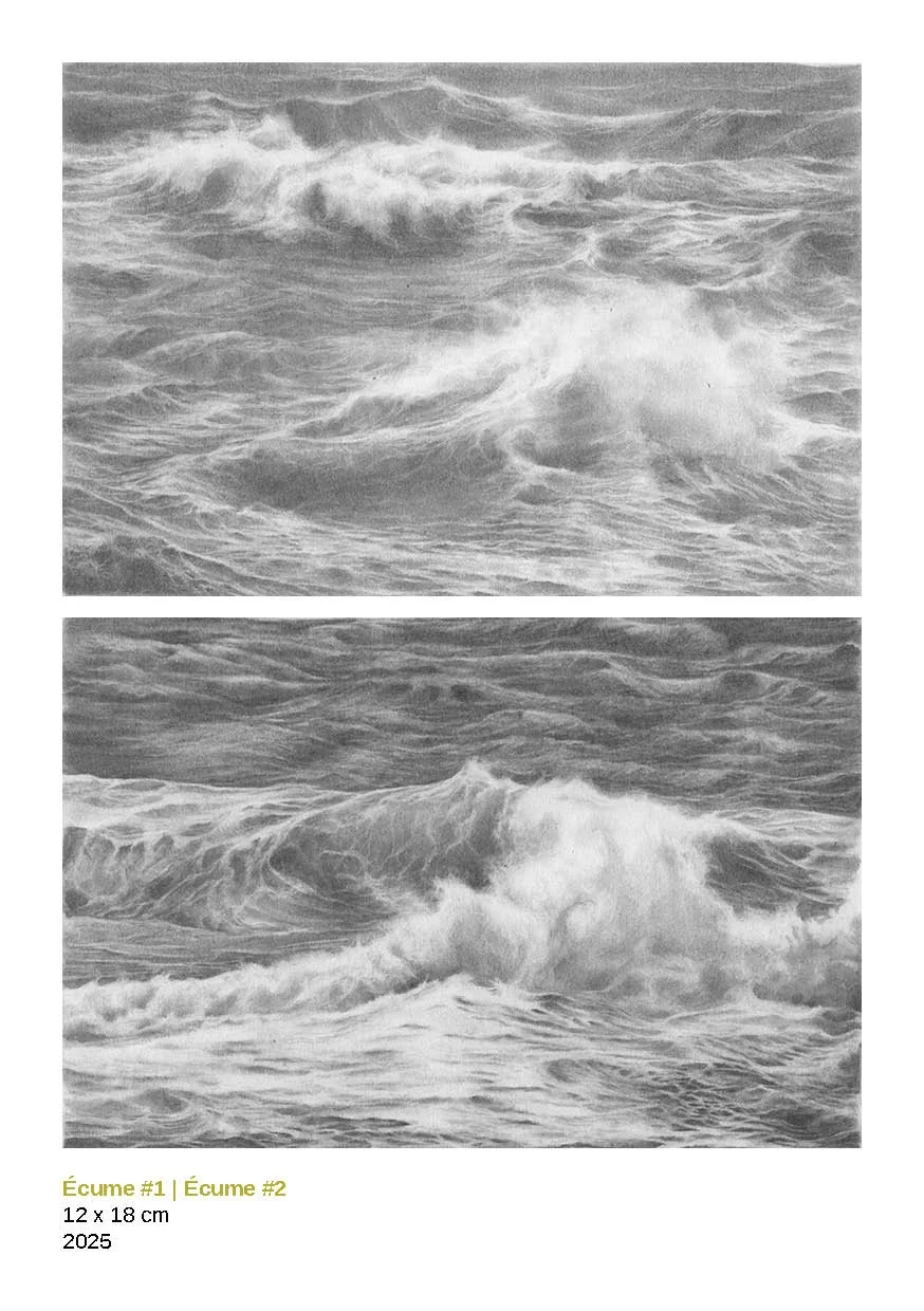 édition Mélanie Ploquin 2026 Web 26.jpg