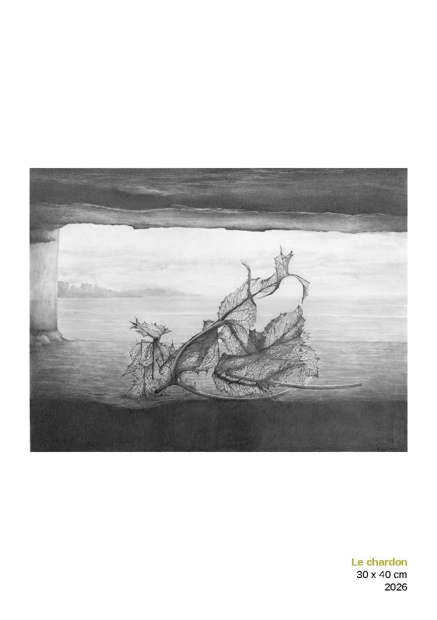 édition Mélanie Ploquin 2026 Web 219.jpg