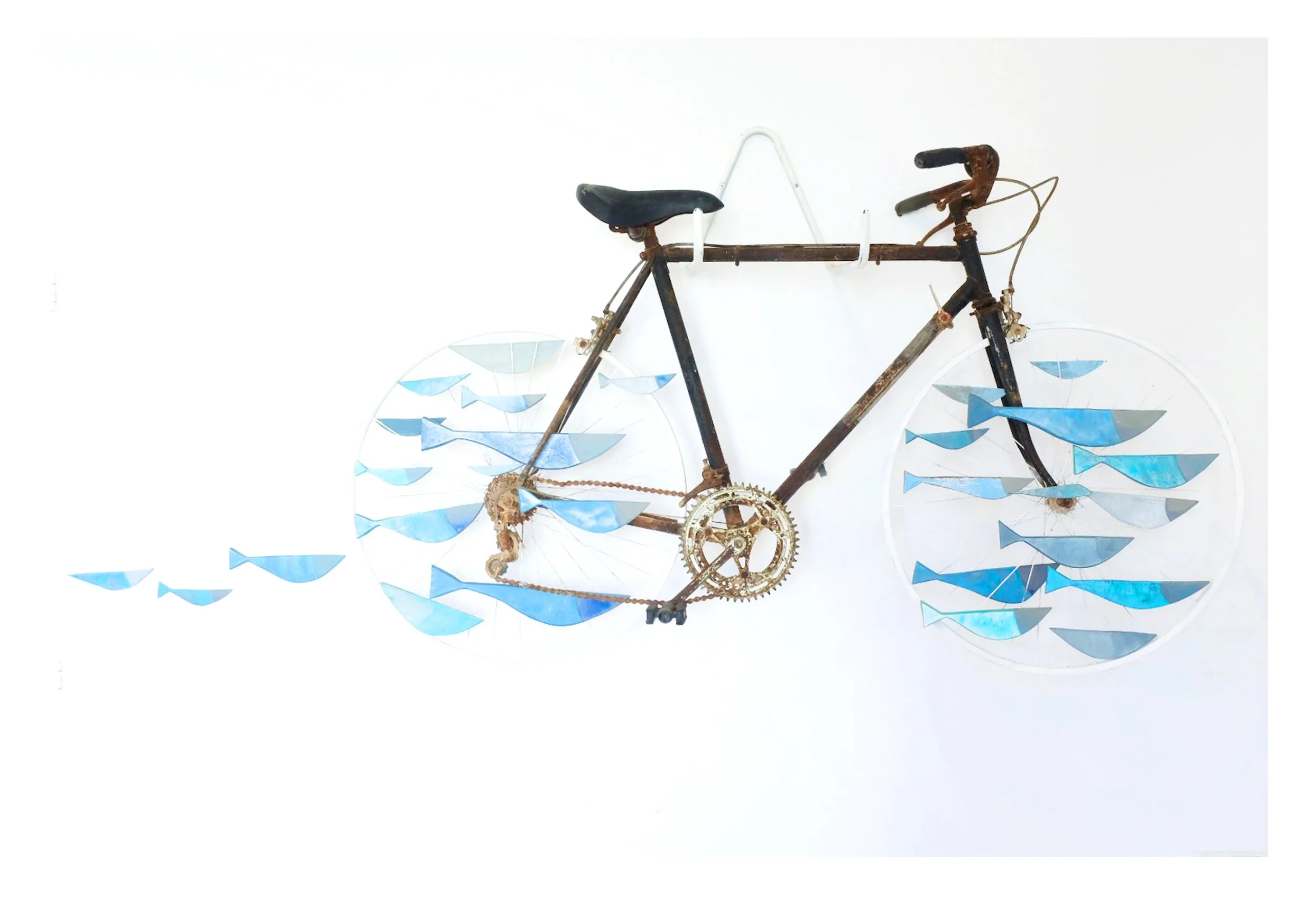 18 BICI2.jpg
