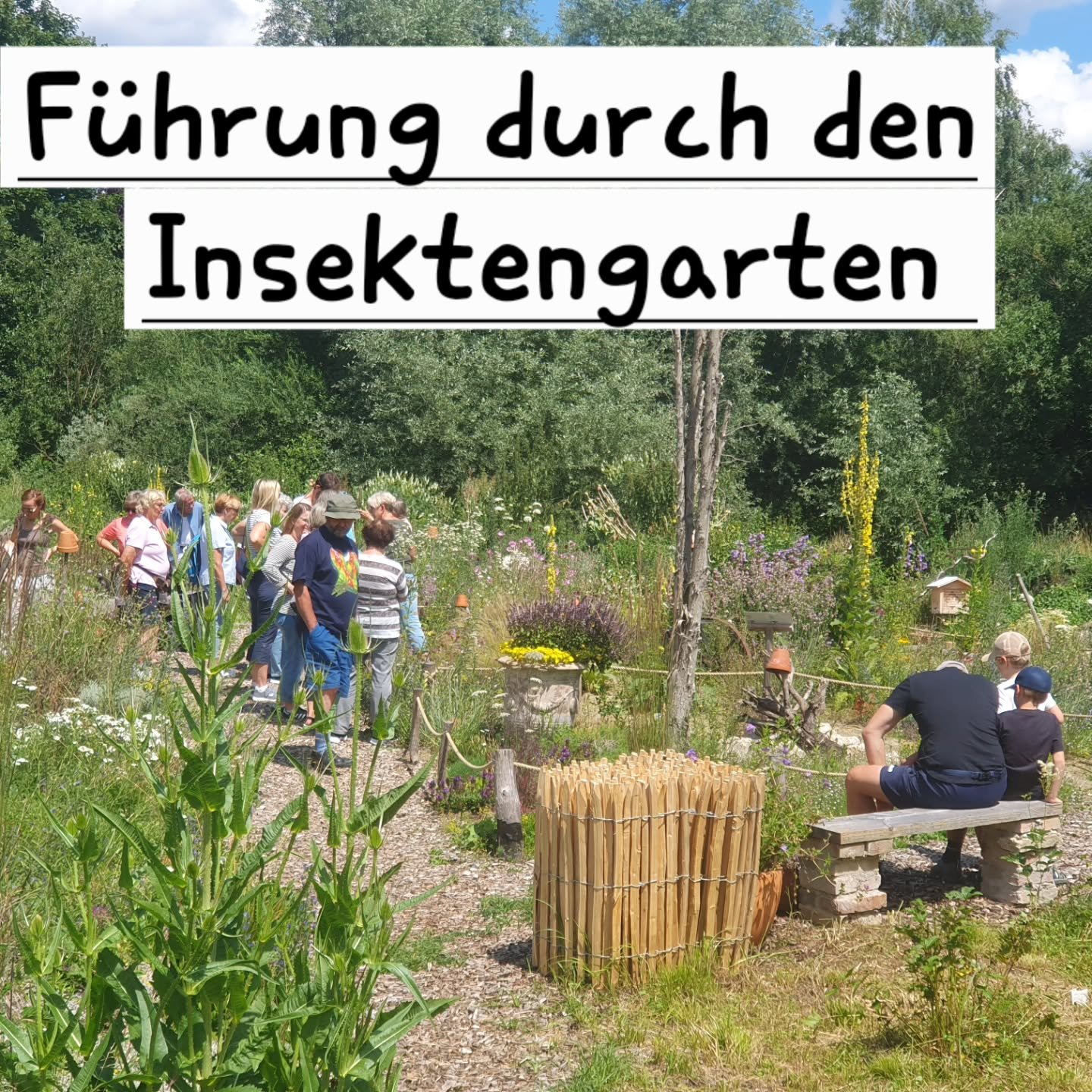 War wieder mal ein schöner Nachmittag
Ich bedanke mich für die aufmerksamen Zuhörer 🦋🦋🦋🦋
Wollt auch ihr mal eine Führung durch den Insektengarten?
Meldet euch einfach an um einen passenden Termin zu finden 🐝🐝🐝🐝🐝
#Insekt