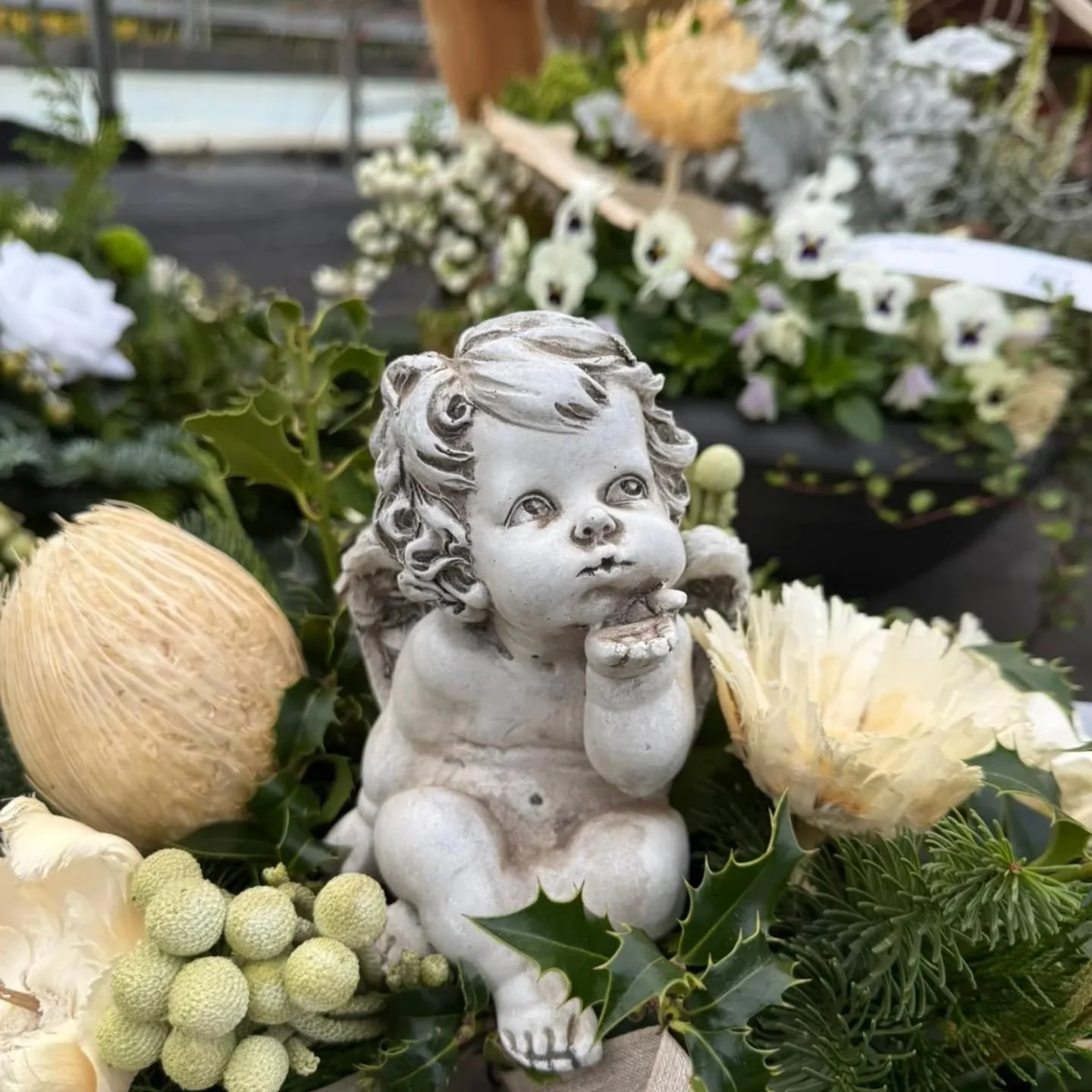 🕯️ Allerheiligen – liebevoll erinnern 🌿
Mit unseren handgefertigten Gestecken und bepflanzten Schalen gestalten wir Grabstätten mit Herz und Respekt.
💚 Ein stilles Zeichen der Verbundenheit – für die, die für immer in