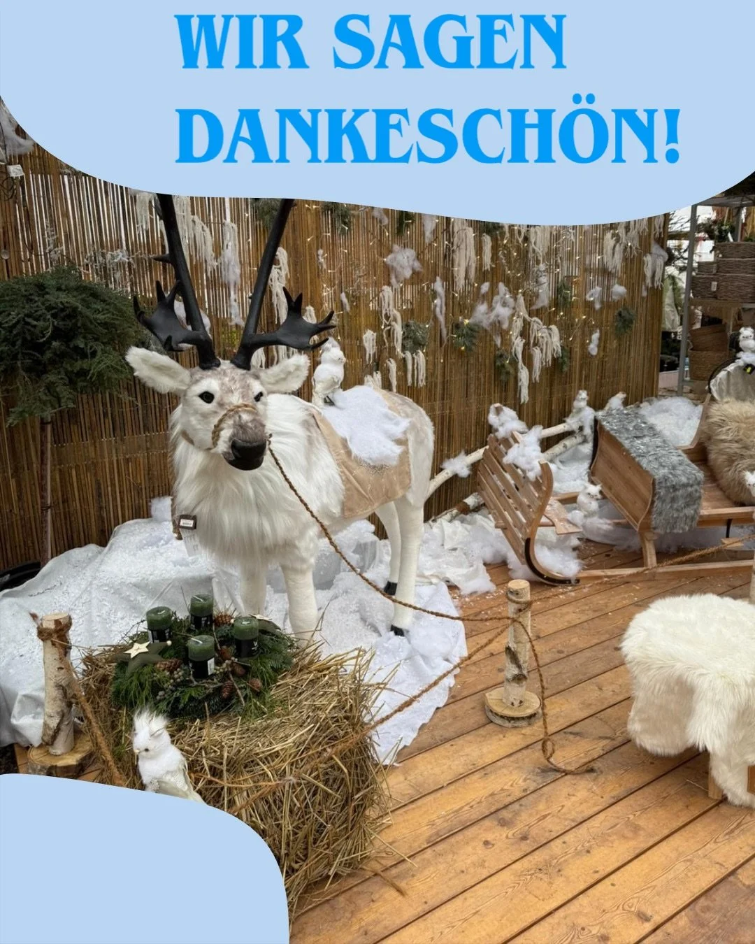 ✨ Danke f&uuml;r ein wundervolles Advents-Wochenende! ✨

Unsere Adventsausstellung in der G&auml;rtnerei Dumbsky war dank euch ein voller Erfolg. 🌟

Ein herzliches Dankesch&ouml;n an all unsere Kund*innen, unser gro&szlig;artiges Team und die kreati