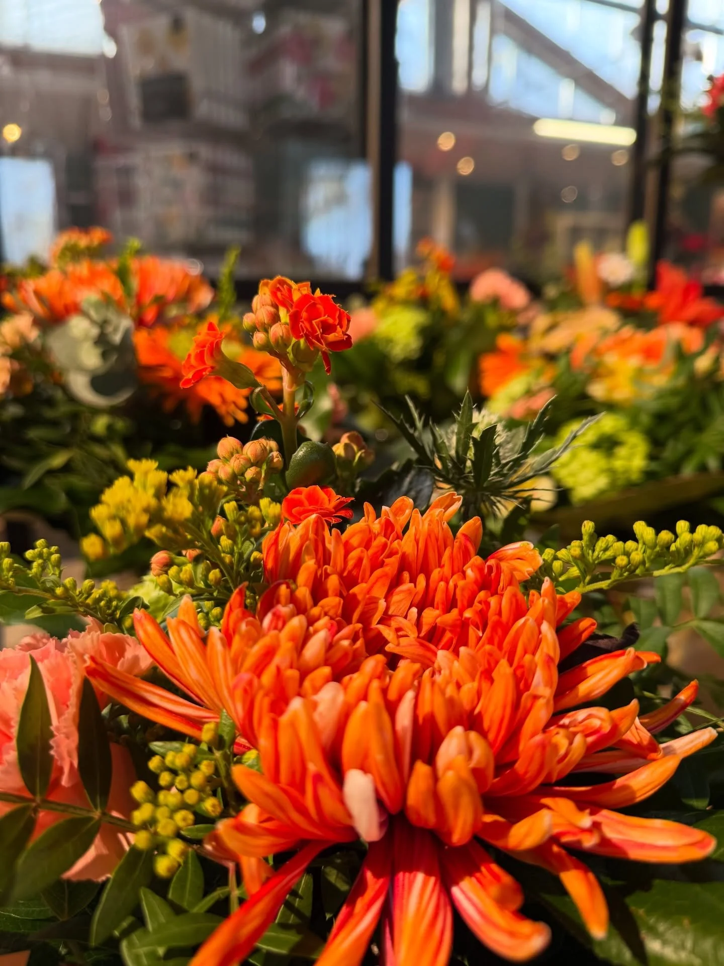 Liebe, die man sieht &ndash; und die von hier kommt 💜🌹

Unsere handgebundenen Str&auml;u&szlig;e  entstehen mit viel Herz, floristischem Handwerk und regionaler Verbundenheit direkt bei uns in der G&auml;rtnerei Dumbsky.

Frisch. Individuell. Und g