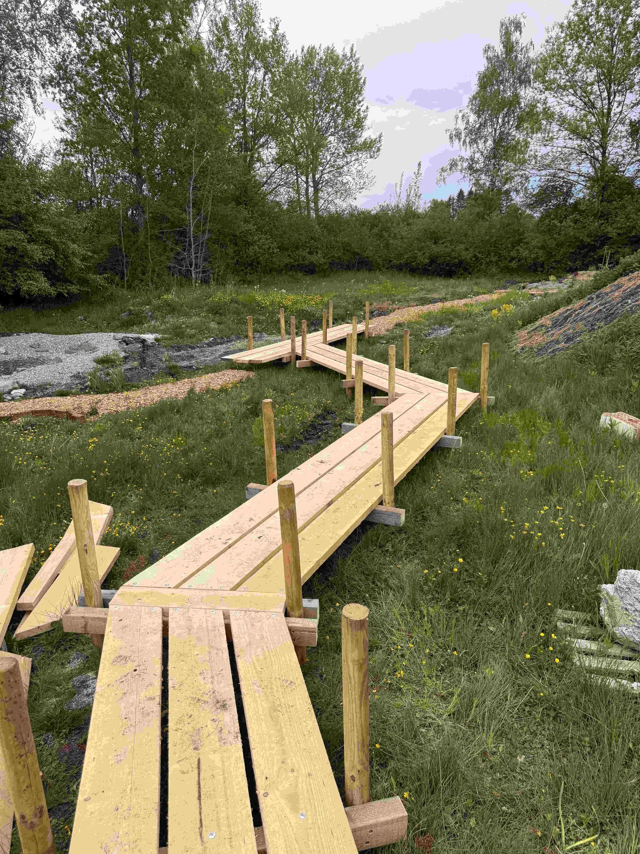 Gewundener Holzsteg durch die Sumpfzone und Wiese in Monis Insektengarten der Gärtnerei Dumbsky