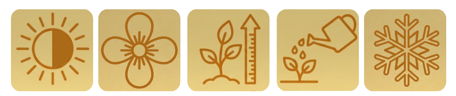 Symbole für Sonnenlicht, Blume, Pflanzenwachstum, Bewässerung, Schnee.