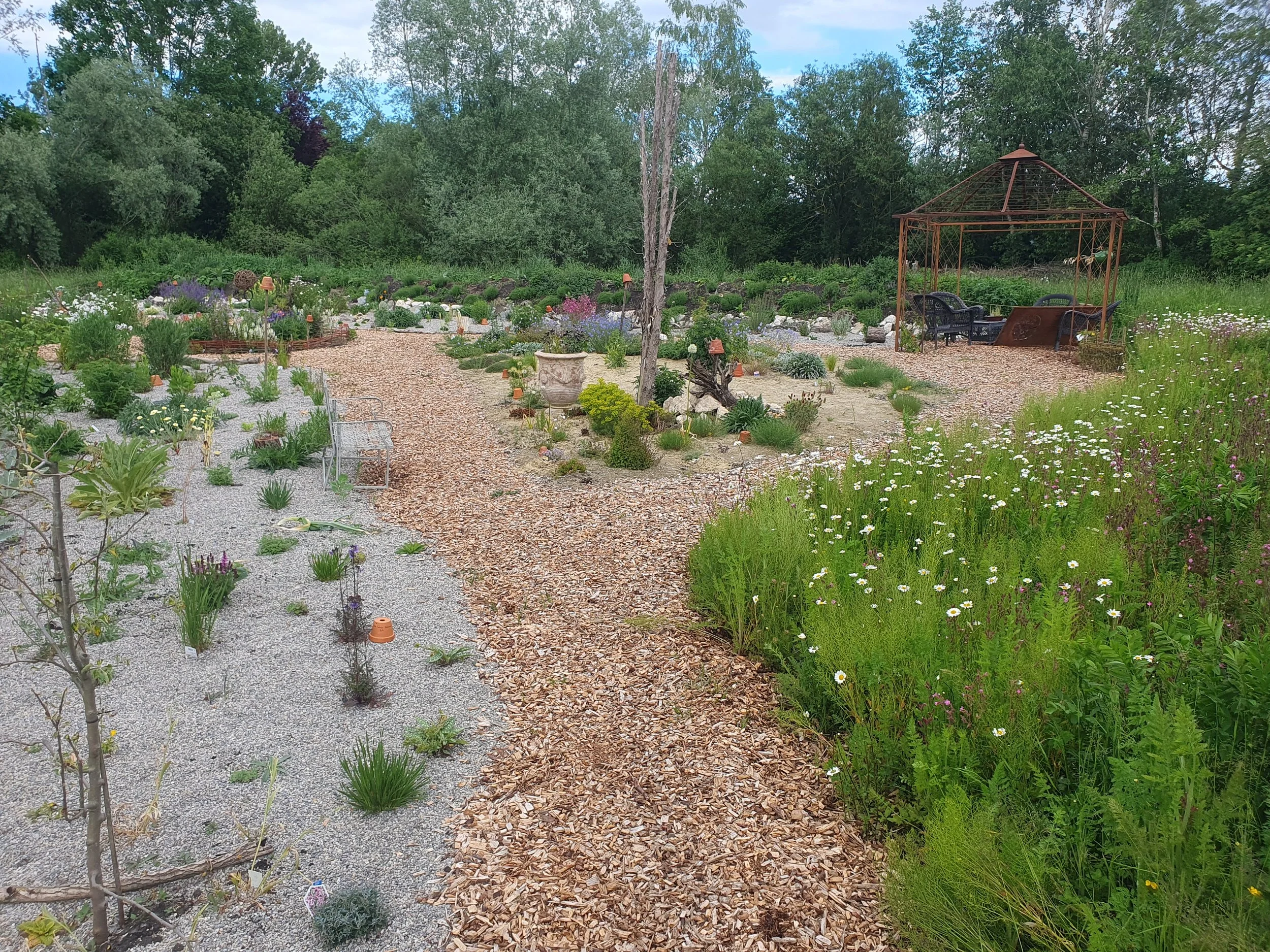 Panorama-Ansicht von Monis Insektengarten in der Gärtnerei Dumbsky mit naturnahen Beeten, Kieswegen und Wildstauden