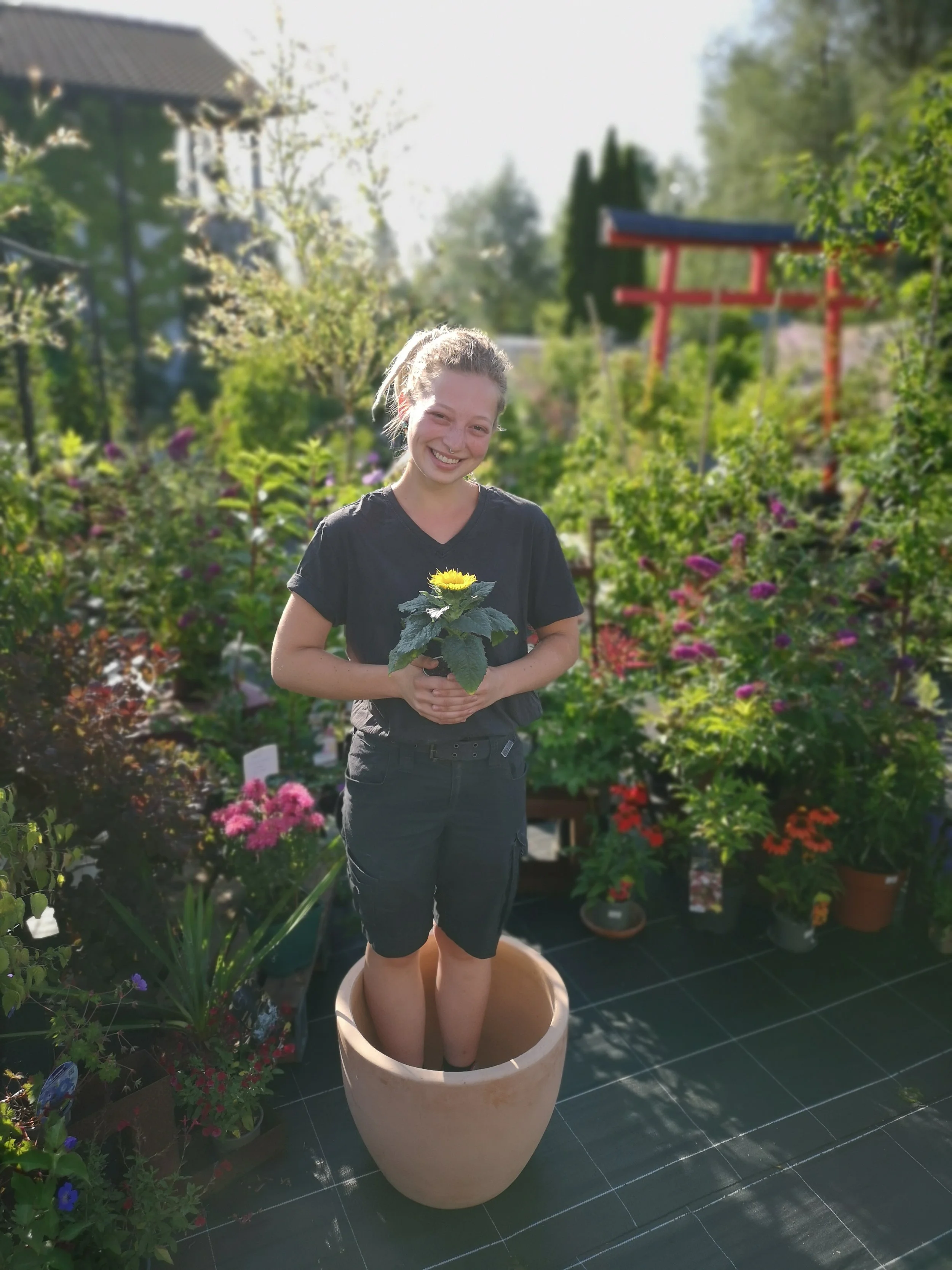Eine lächelnde Person steht in einem großen Blumentopf und hält eine kleine Pflanze mit einer gelben Blume. Im Hintergrund sind viele grüne Pflanzen, Blumen und ein rotes Torgate in einem Garten sichtbar.