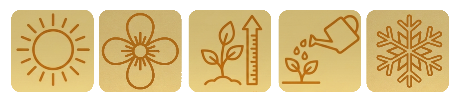 Symbole für Sonnenlicht, Blume, Pflanzenwachstum, Bewässerung, Frostschutz.