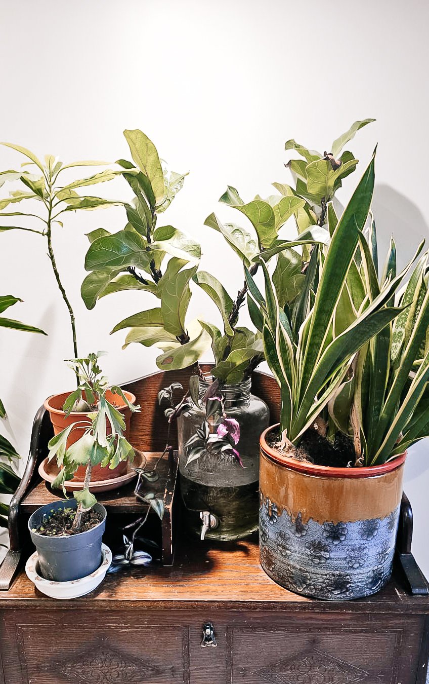 File 04-11-2024 at 11.29.02 87.jpg