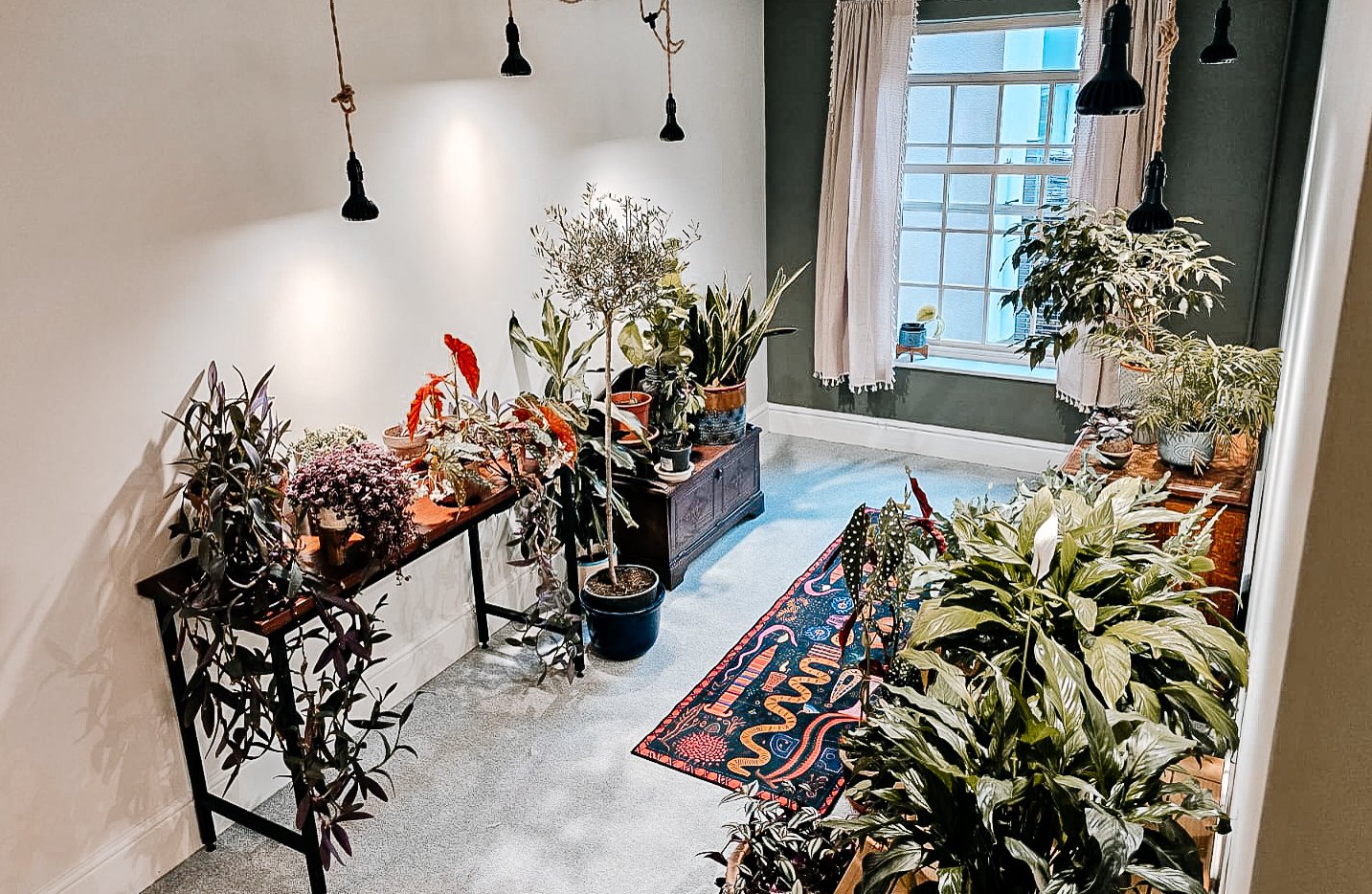 File 04-11-2024 at 11.29.02 58.jpg