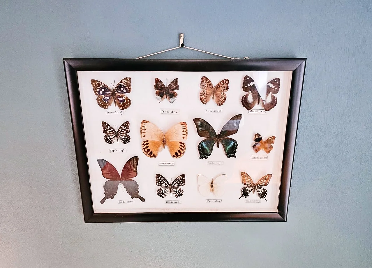 File 04-11-2024 at 11.29.02 35.jpg