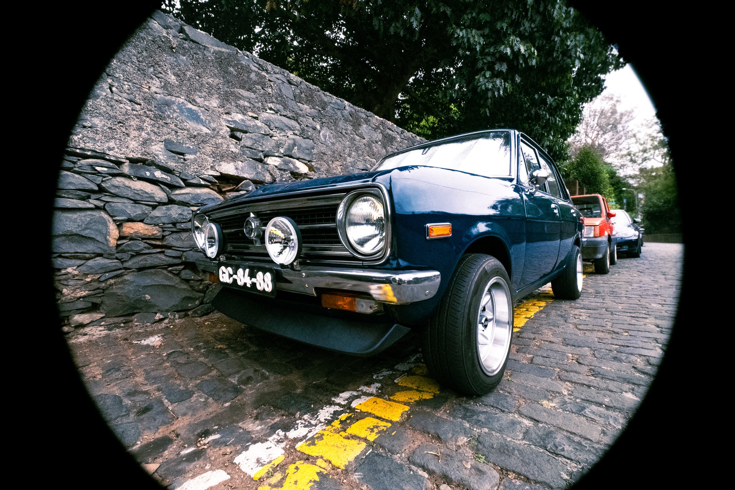 _DSF6073.jpg