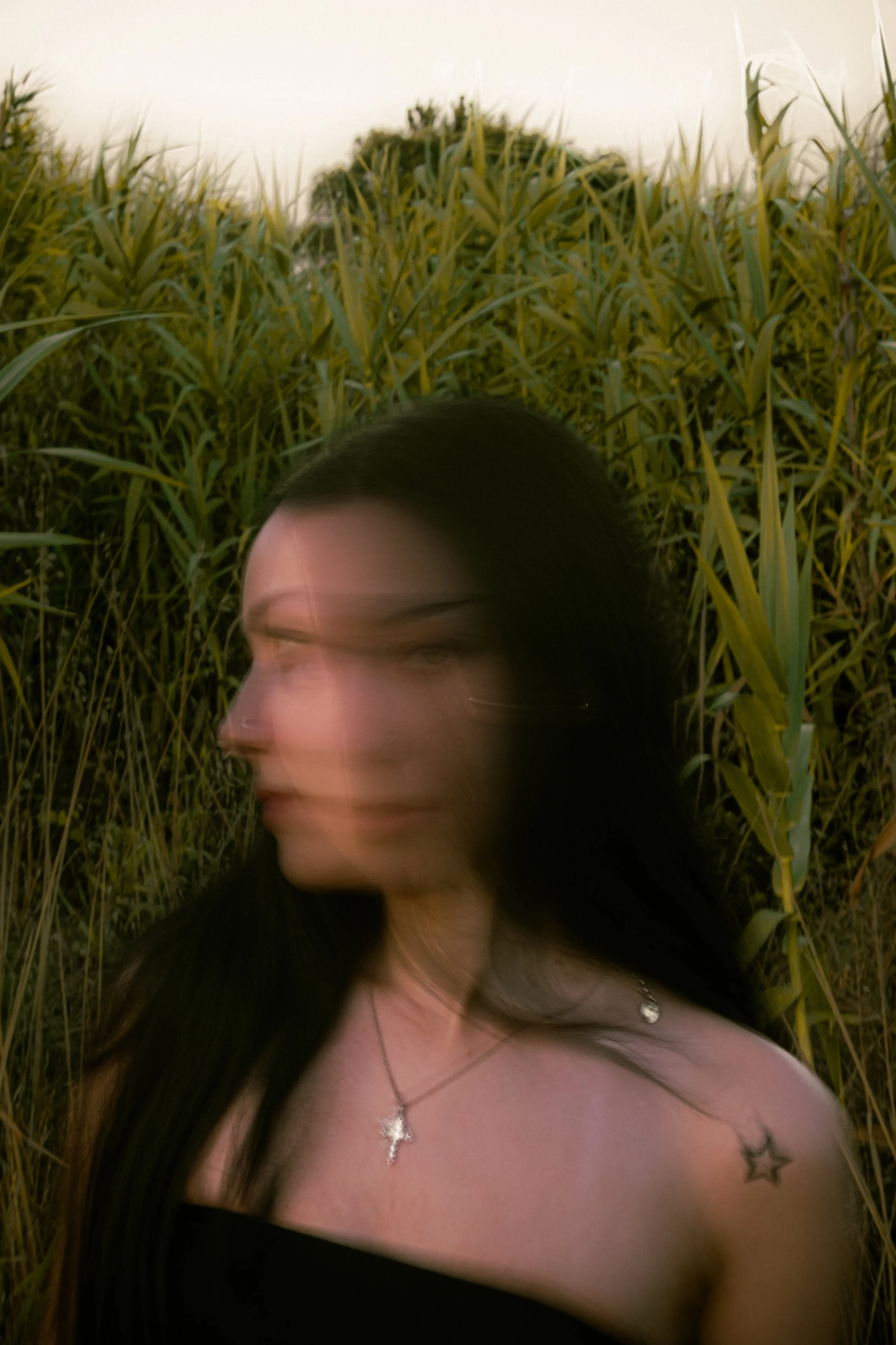 _DSF3960.jpg