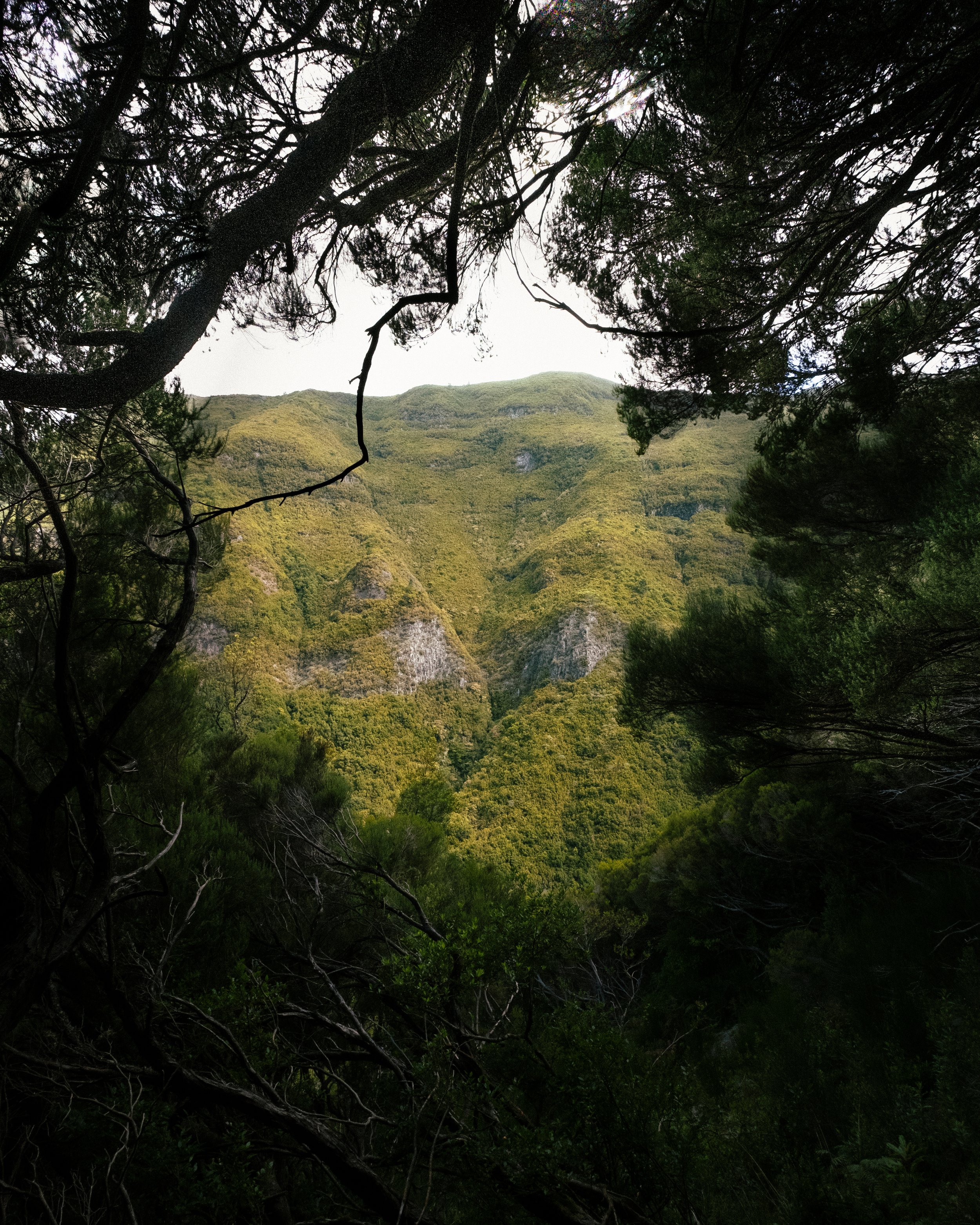 _DSF6165.jpg