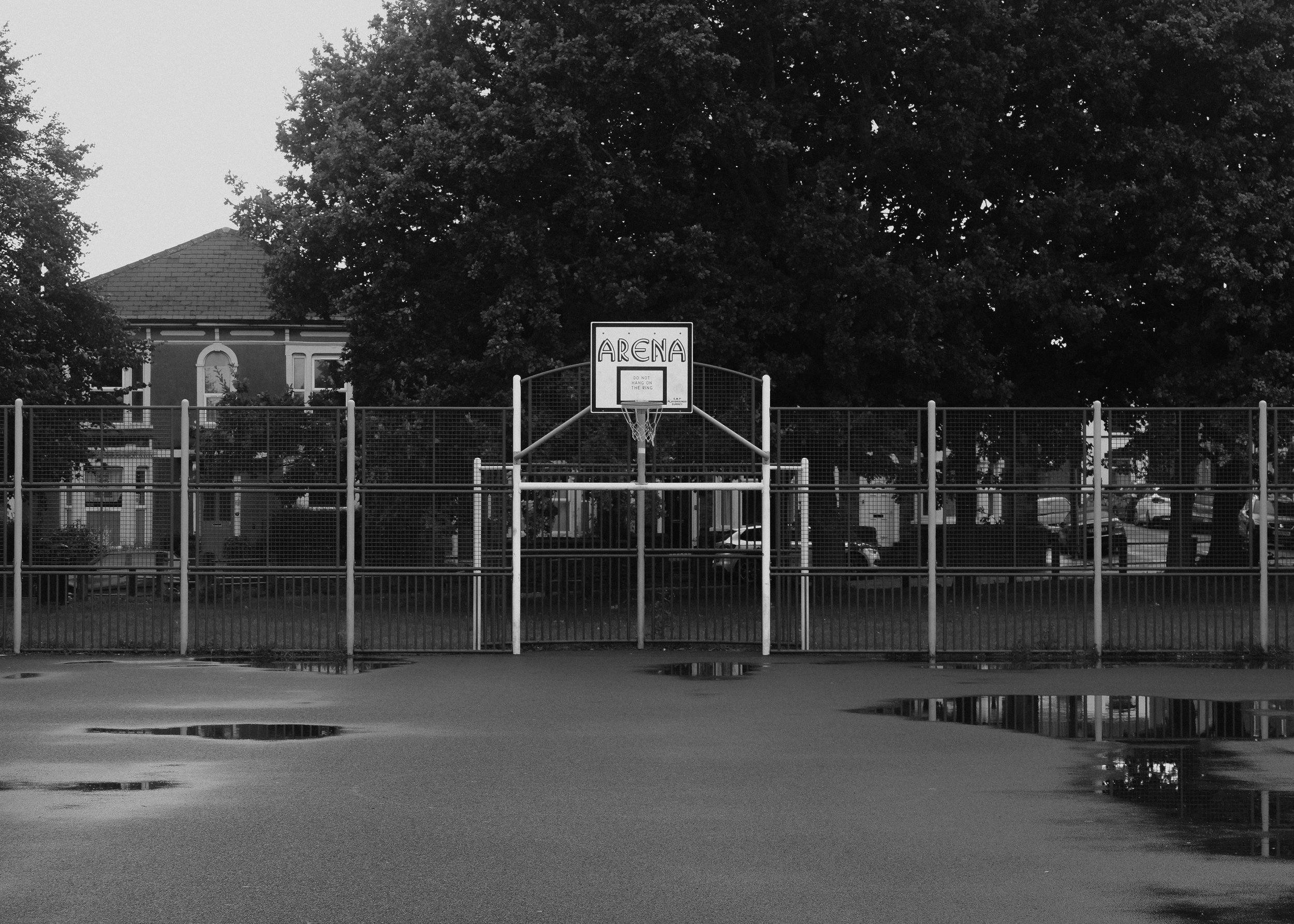 _DSF7704.jpg