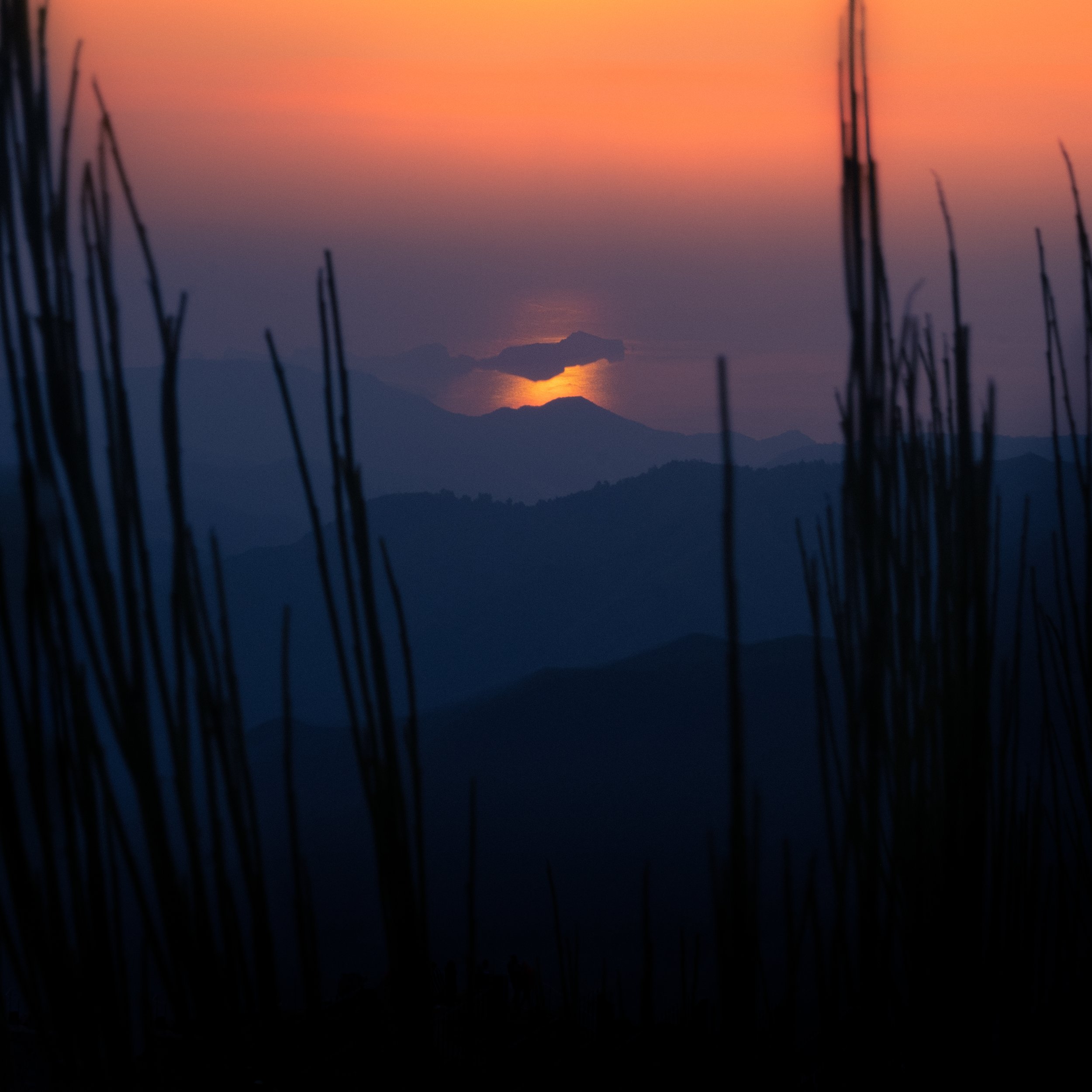 _DSF6475-2.jpg