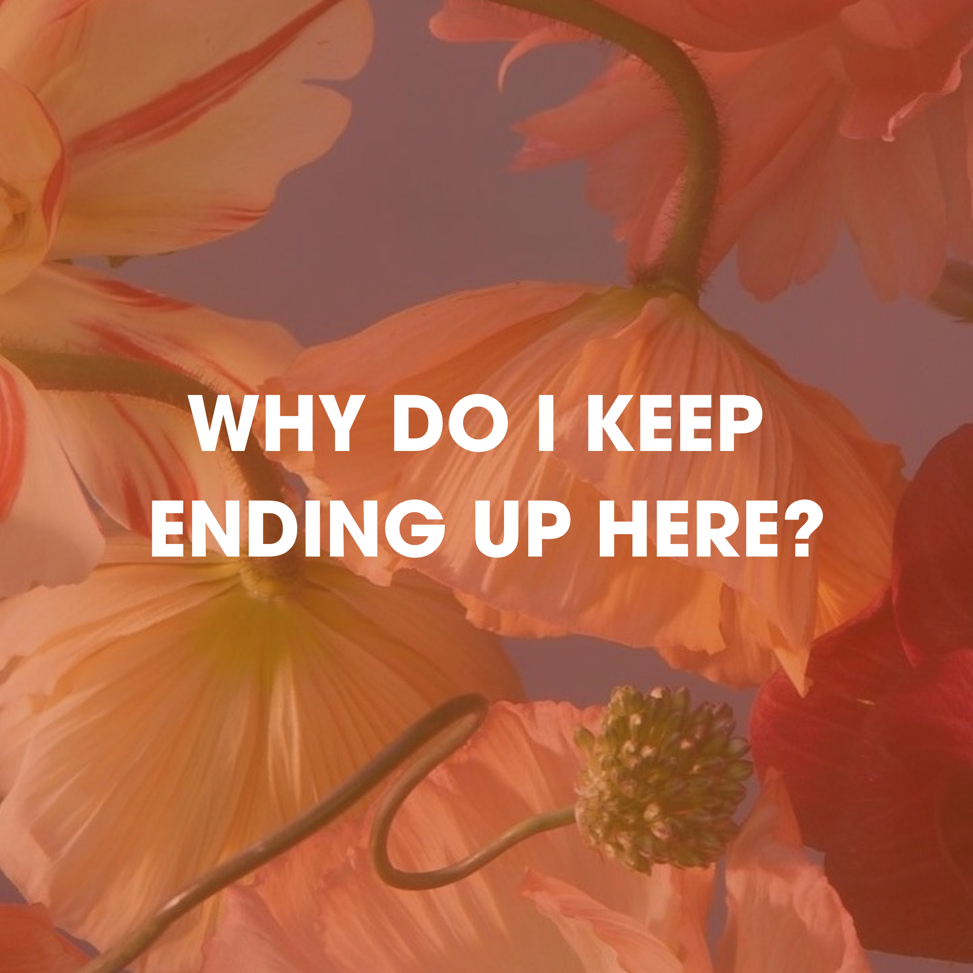 Close-up of orange and pink hibiscus flowers with green stems against a reddish-orange background, with white text overlay asking 'Why do I keep ending up here?'