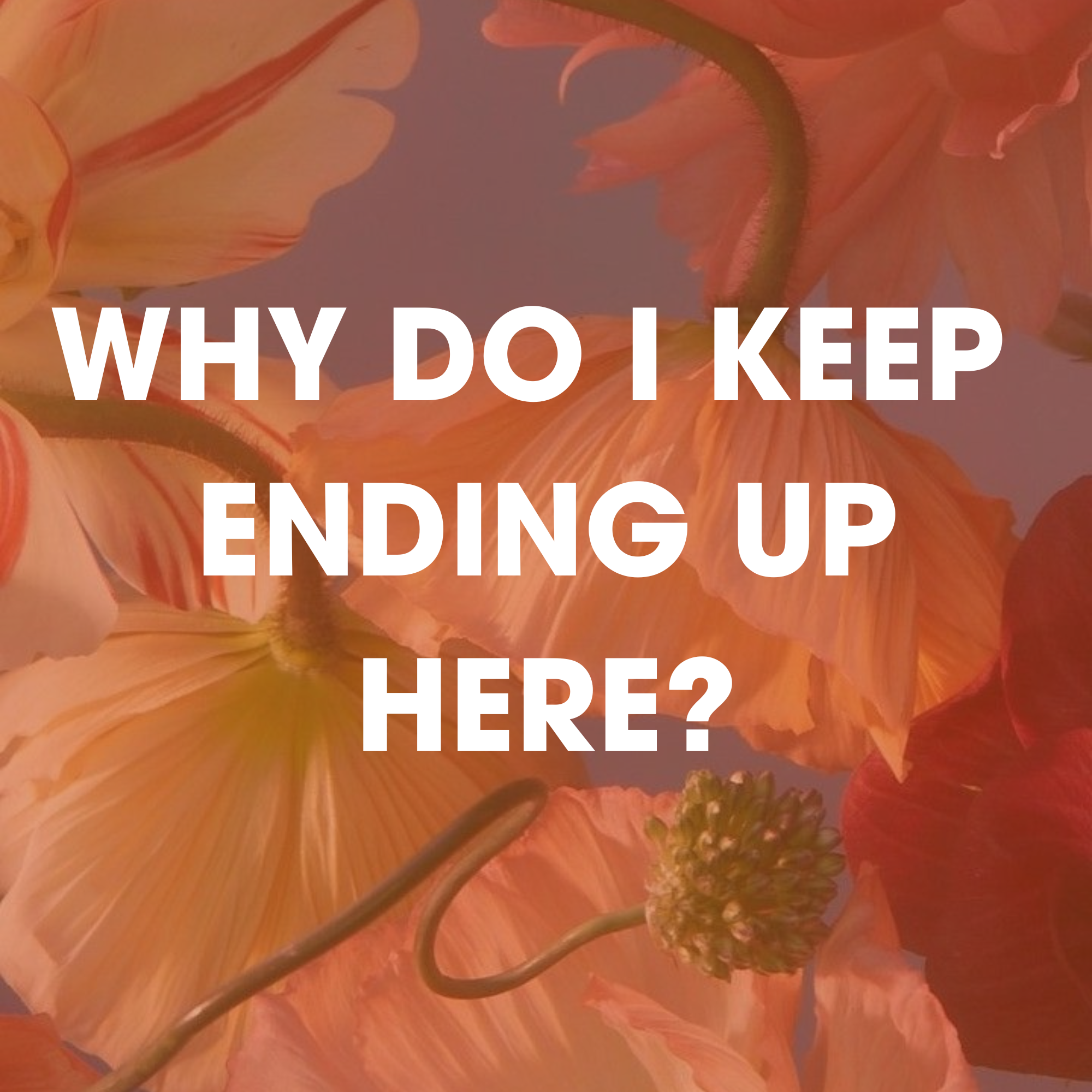 Close-up view of orange flowers with green stems and buds, with overlaid white text that reads: "WHY DO I KEEP ENDING UP HERE?"