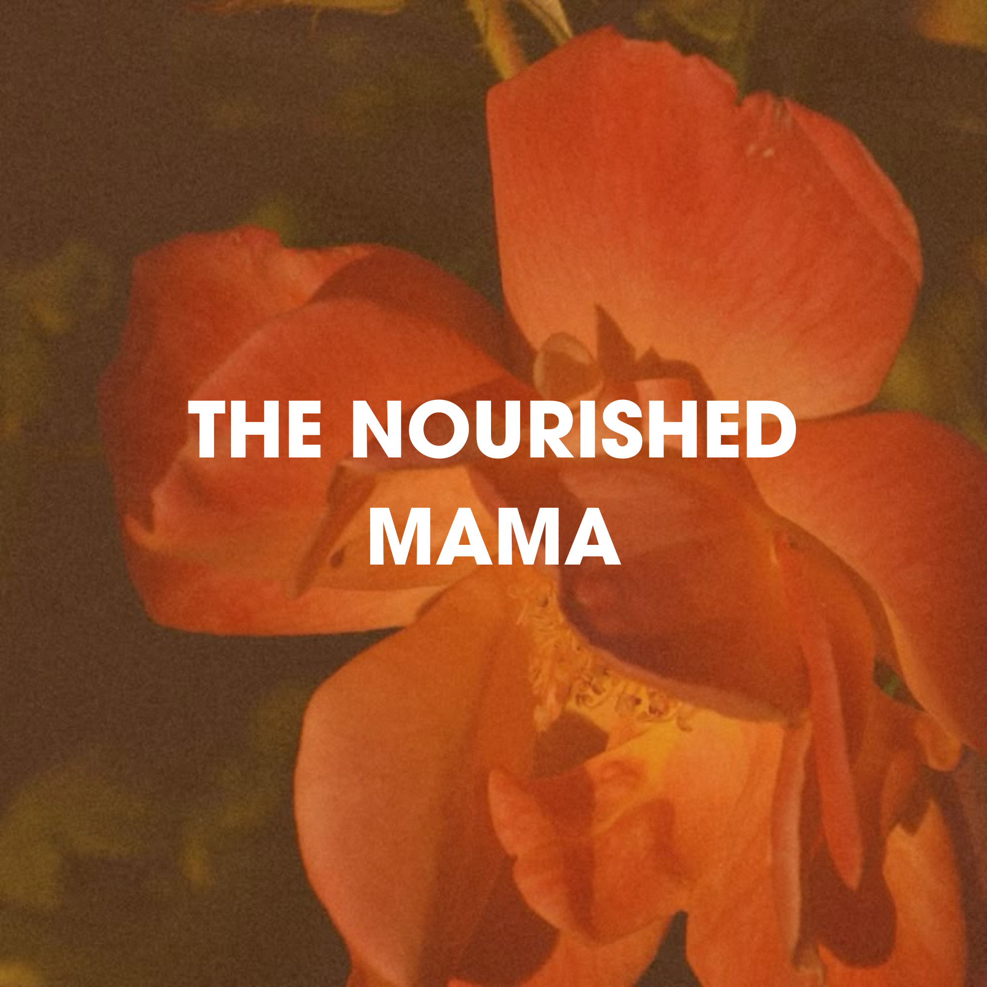 Close-up of orange flowers against a dark background with text overlaid.