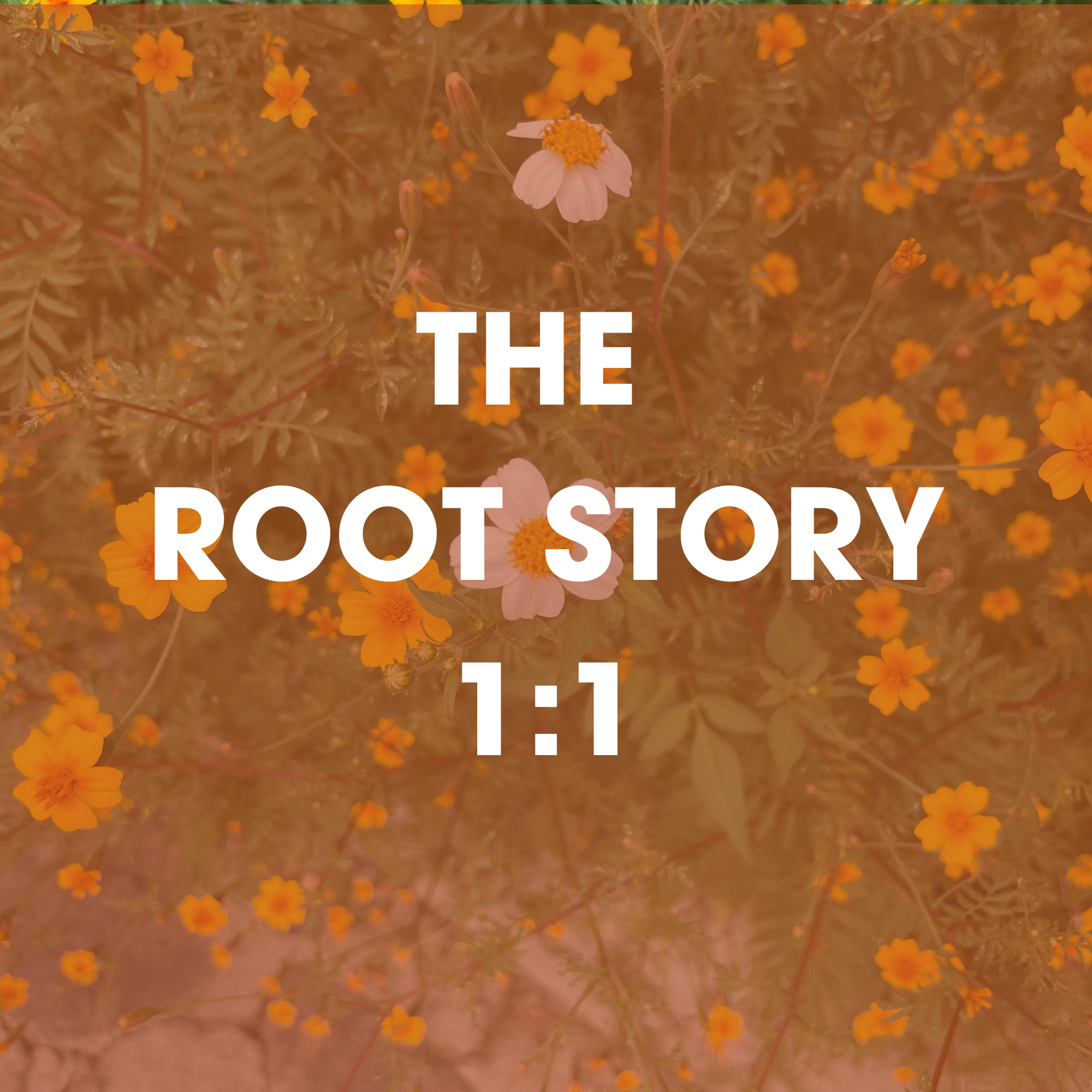 Close-up of orange and yellow flowers with one pink flower in the center, with the words 'THE ROOT STORY' overlaid in white text.