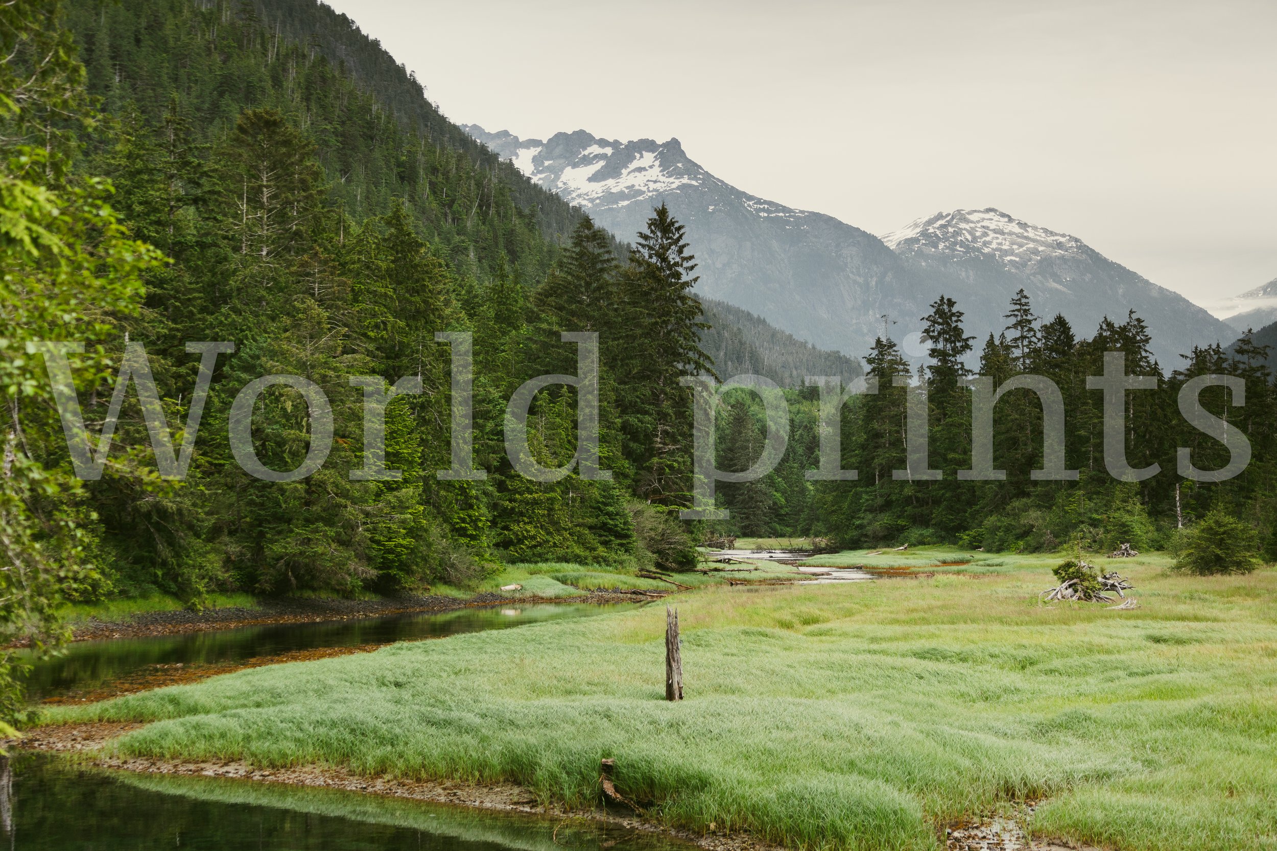Canadian Landscape