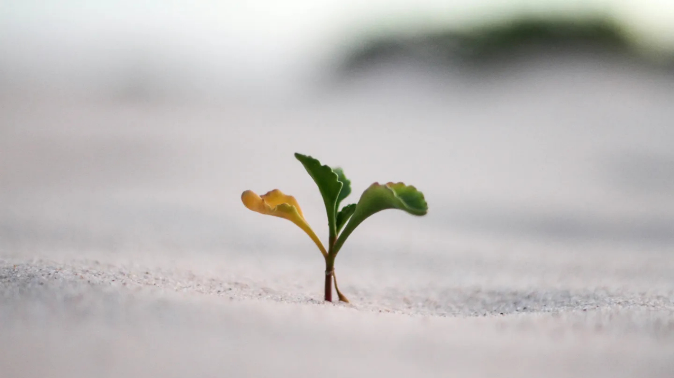Growth Happens in Real Time at Nexus Harbor&nbsp;Consulting