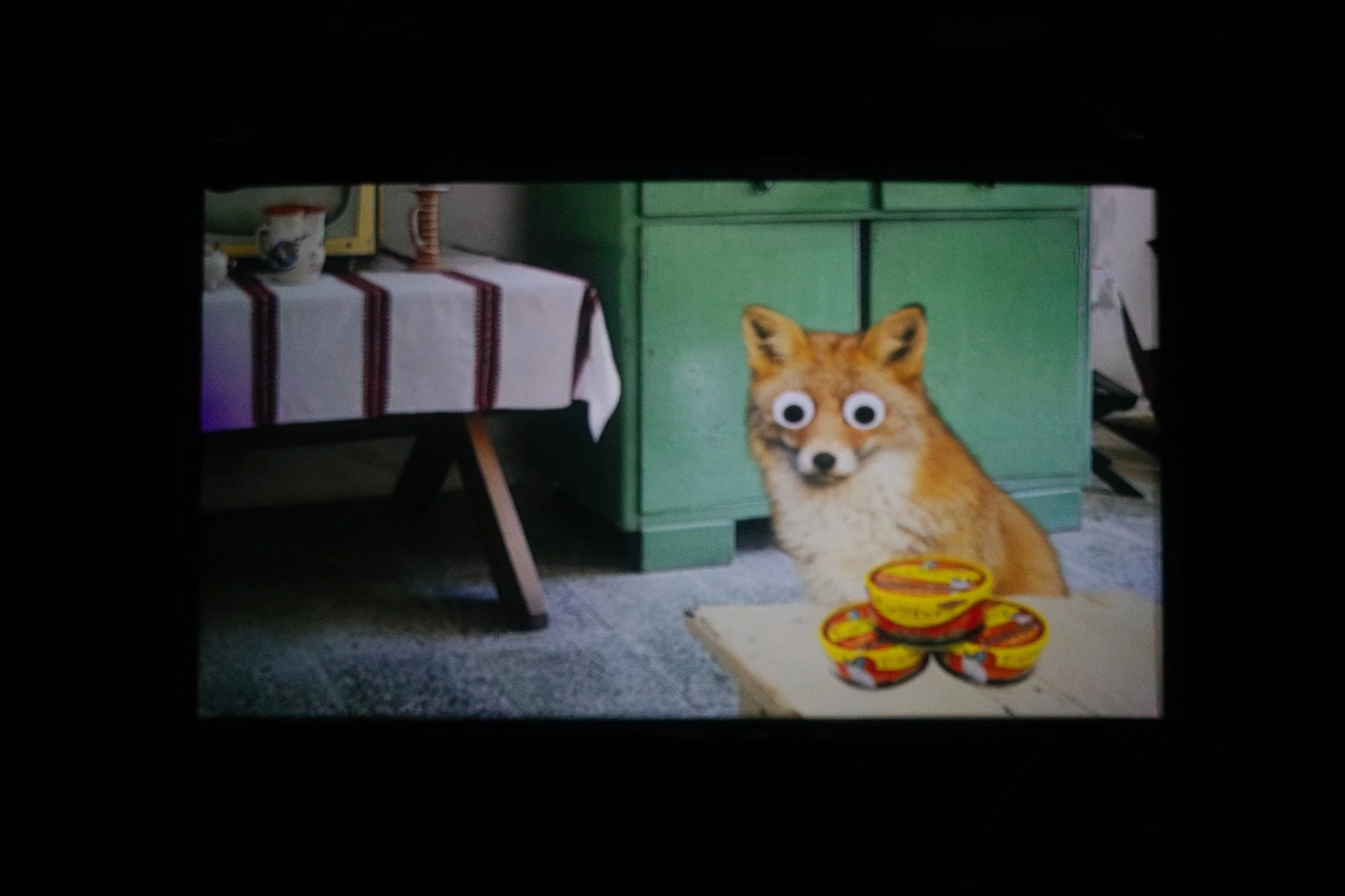 3.21.26- 1000 Kates- Rachael Warriner- @rayephoto-164.jpg