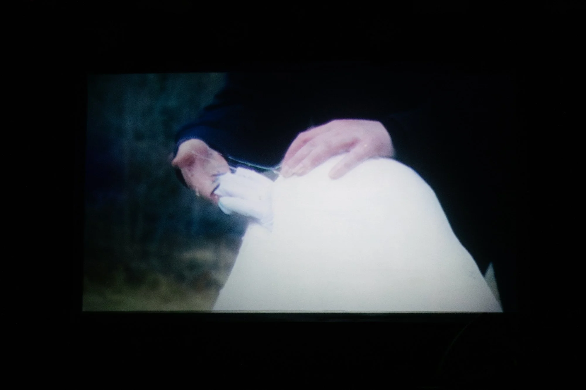 3.21.26- 1000 Kates- Rachael Warriner- @rayephoto-113.jpg