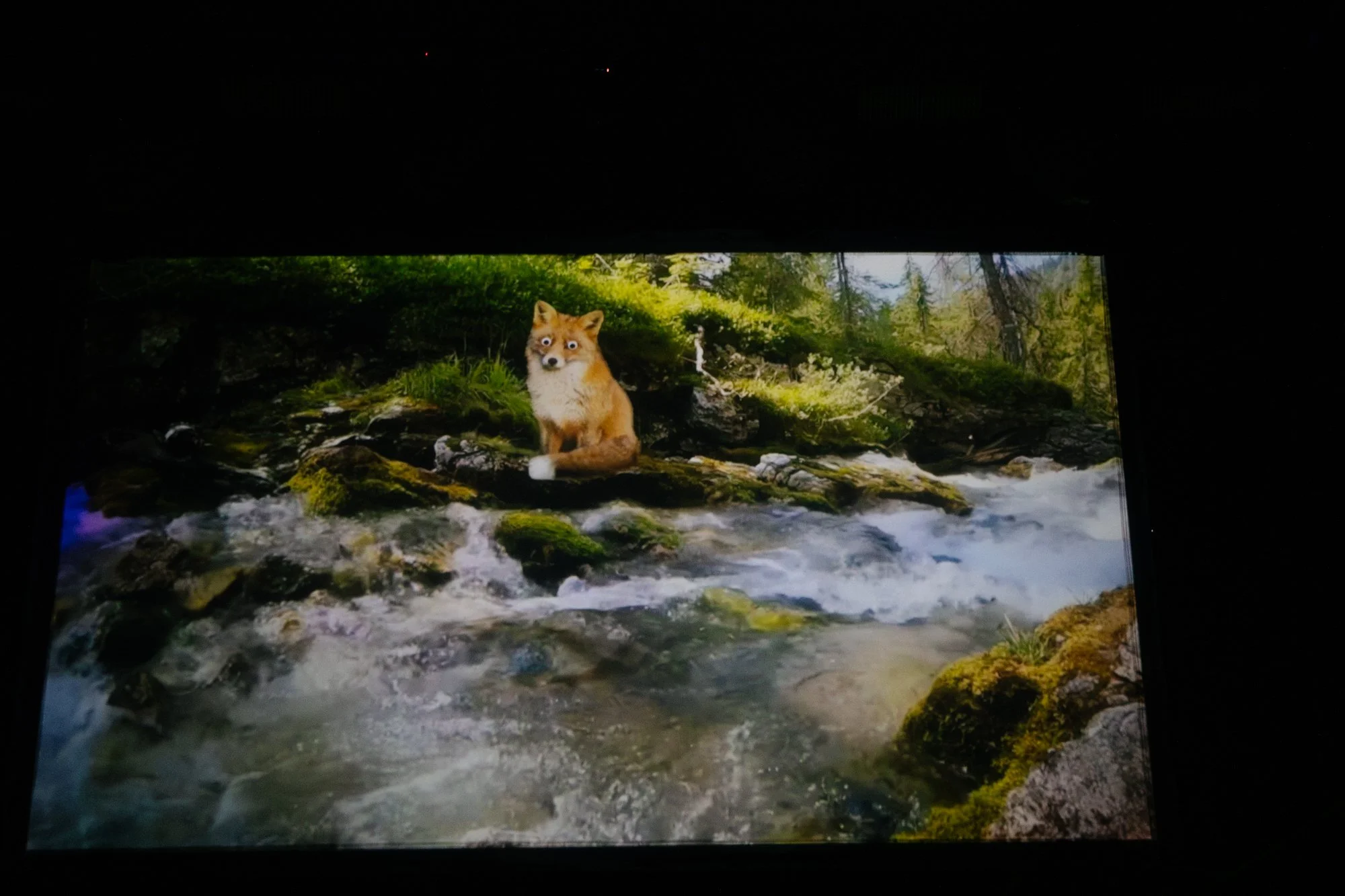 3.21.26- 1000 Kates- Rachael Warriner- @rayephoto-167.jpg