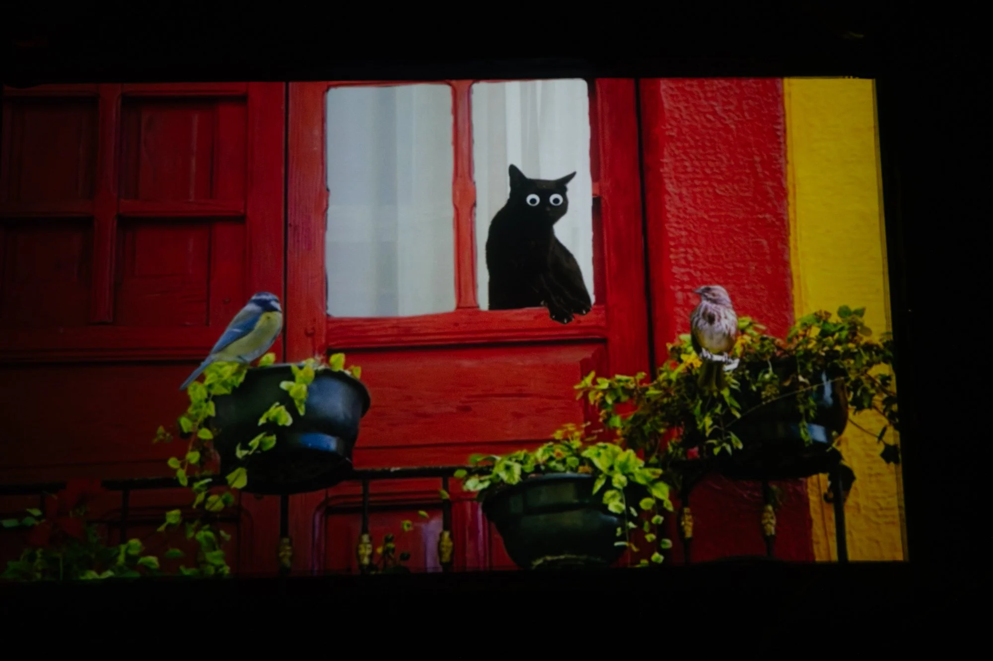 3.21.26- 1000 Kates- Rachael Warriner- @rayephoto-165.jpg