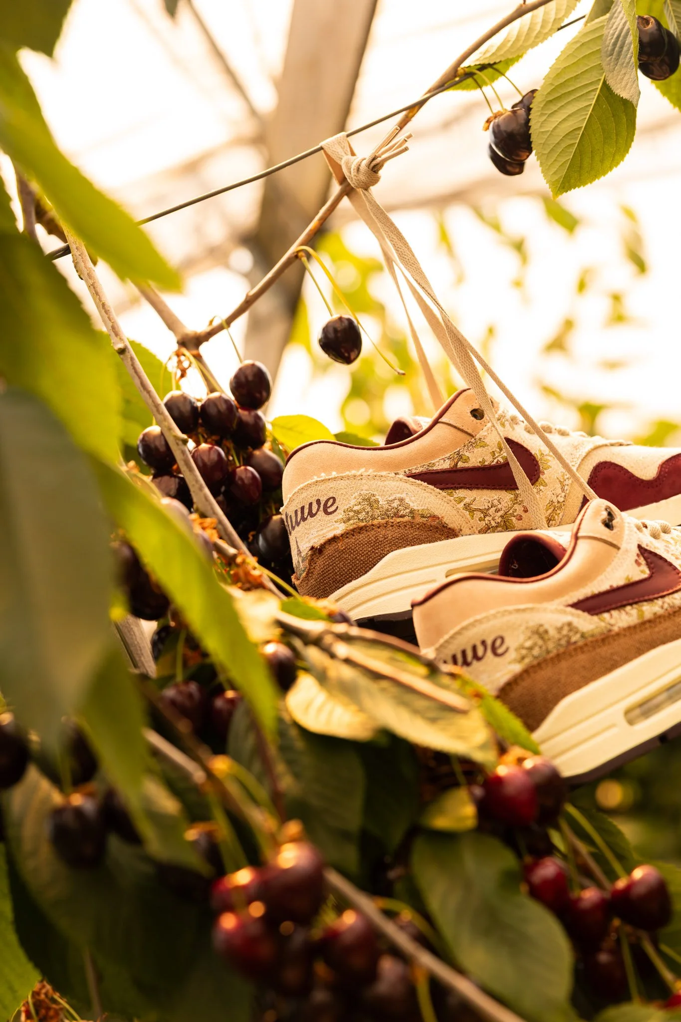 VIJZ Bespokes Air Max 1 Betuwe-14.jpg