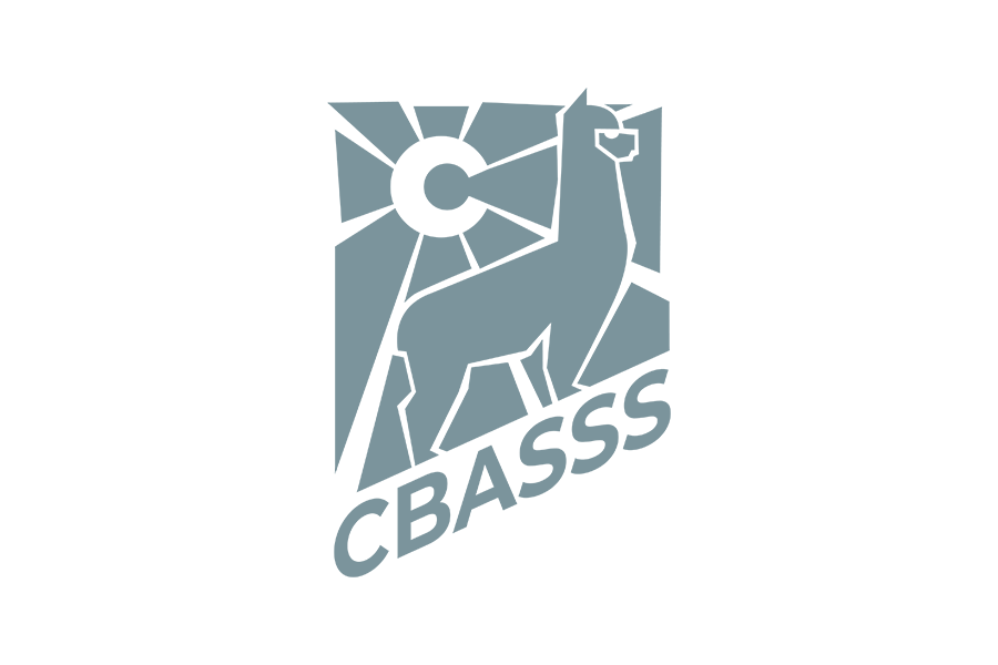 cbasss.png