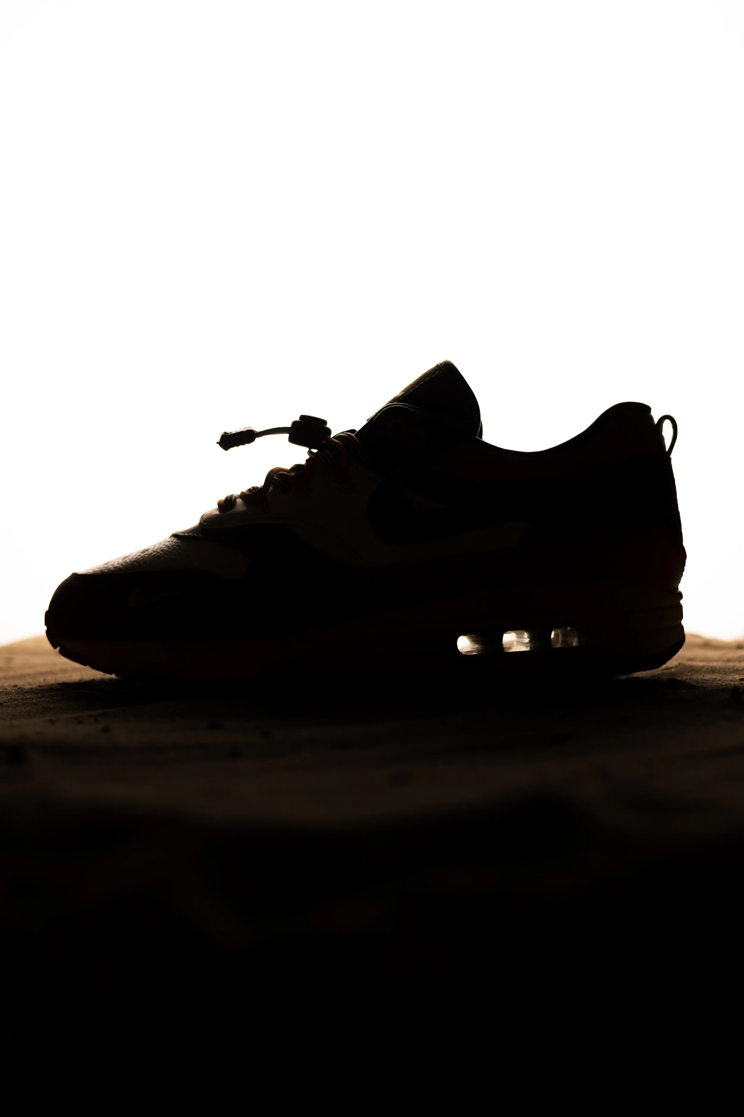 VIJZ Bespokes Custom Air Max 1 Survivor-21.jpg