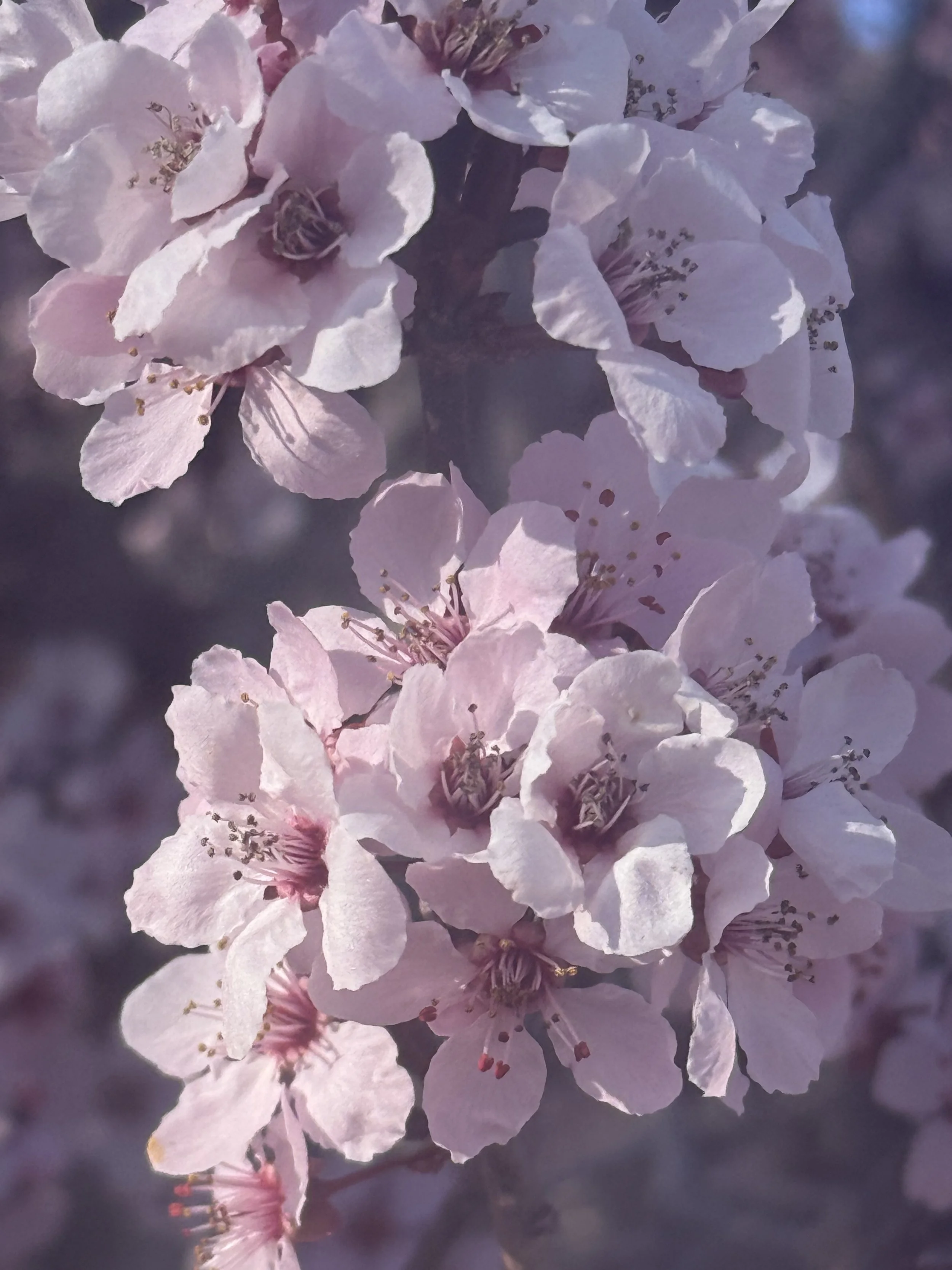 Love is a Story we Never Tire of Telling…