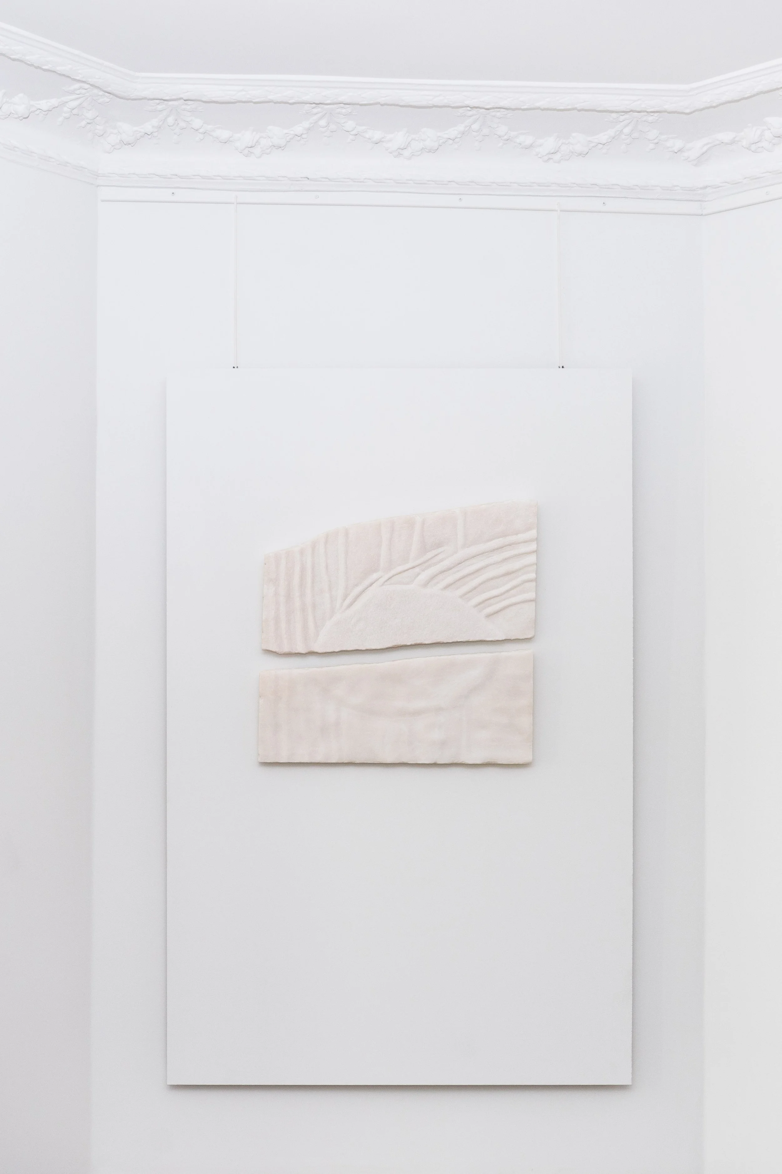 BD-20250725-0410 (1).jpg