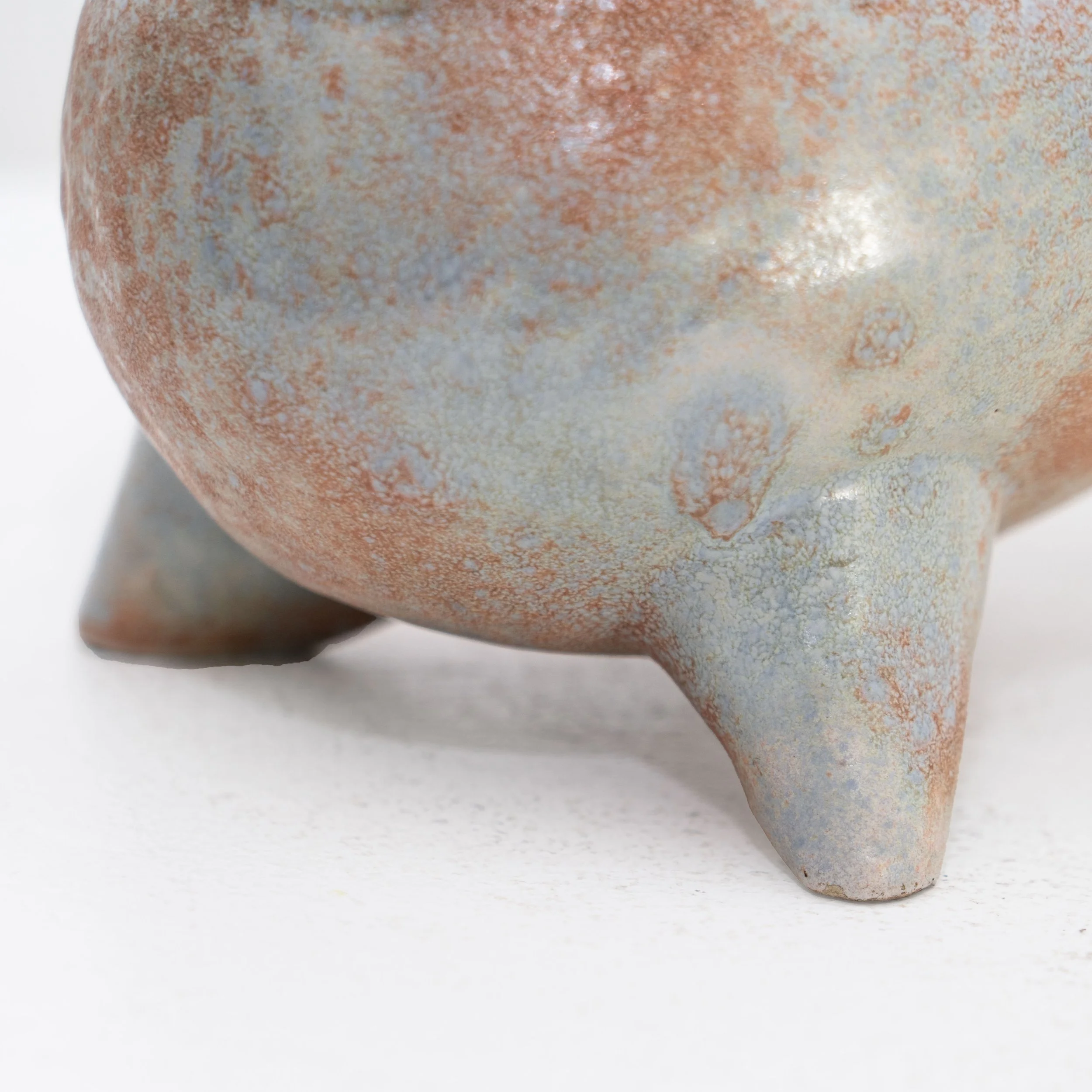 BD-20251119-0374-Modifier (1).jpg