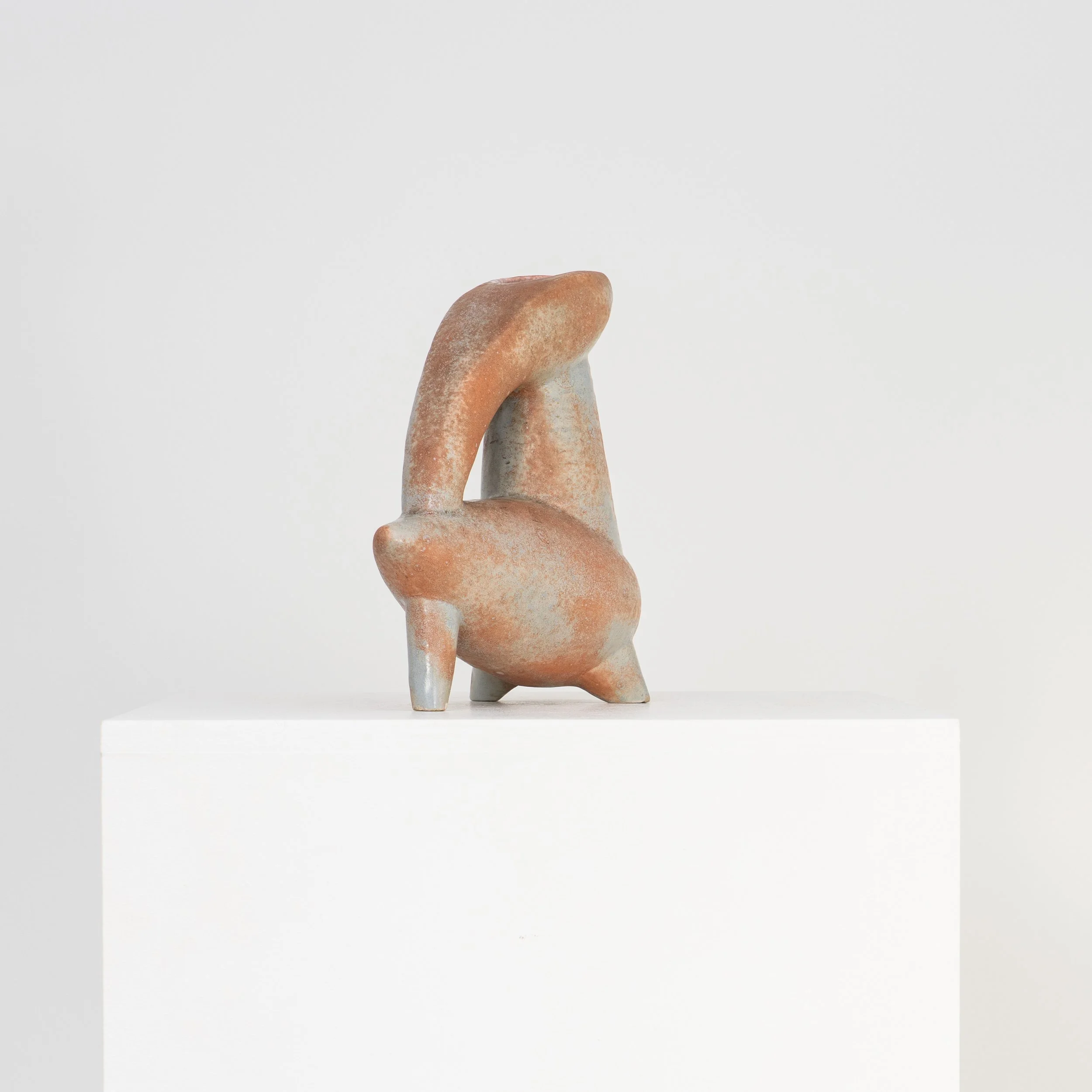 BD-20251119-0014 (1).jpg