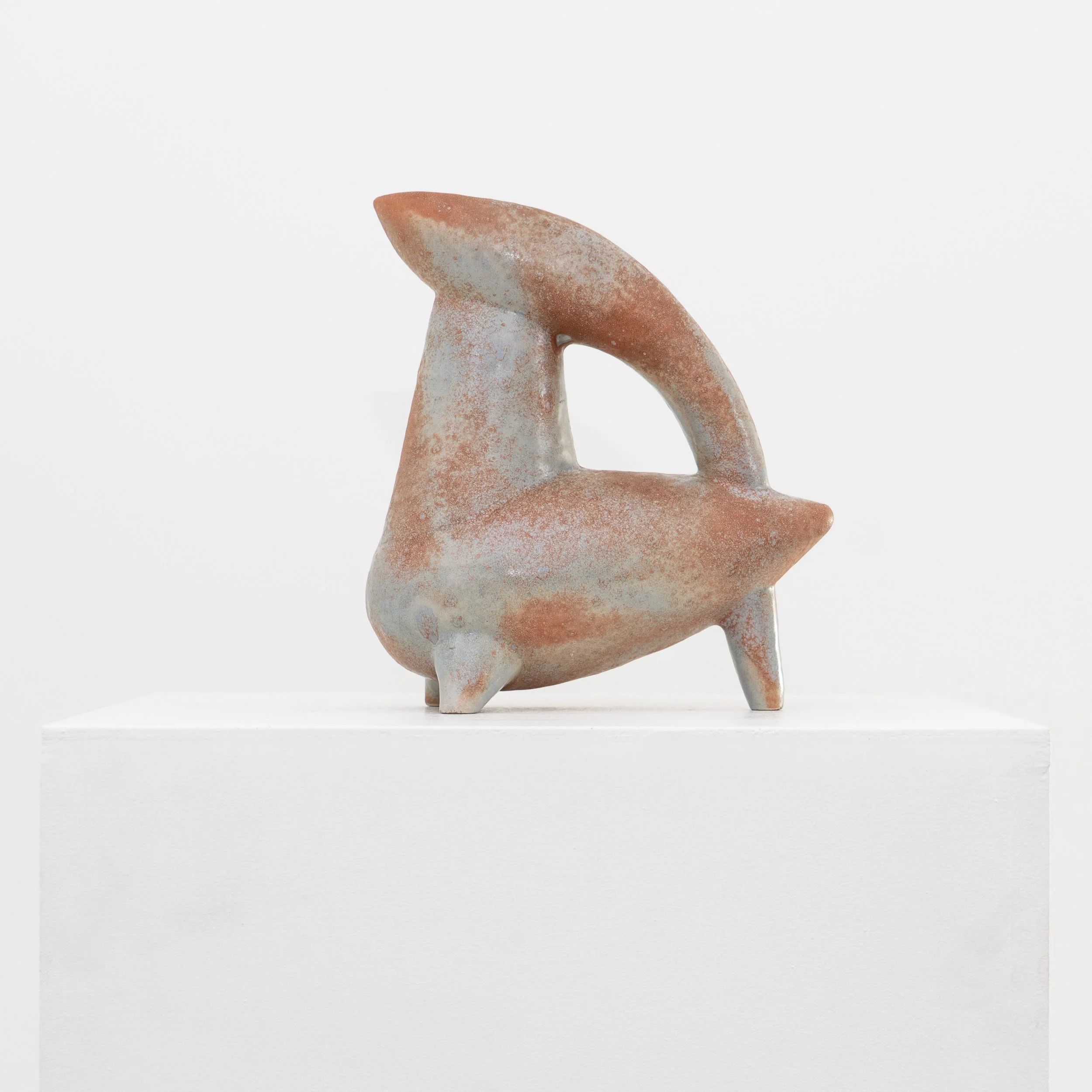 BD-20251119-0636 (1).jpg