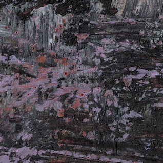 Capture d’écran 2025-12-05 à 14.39.24.png