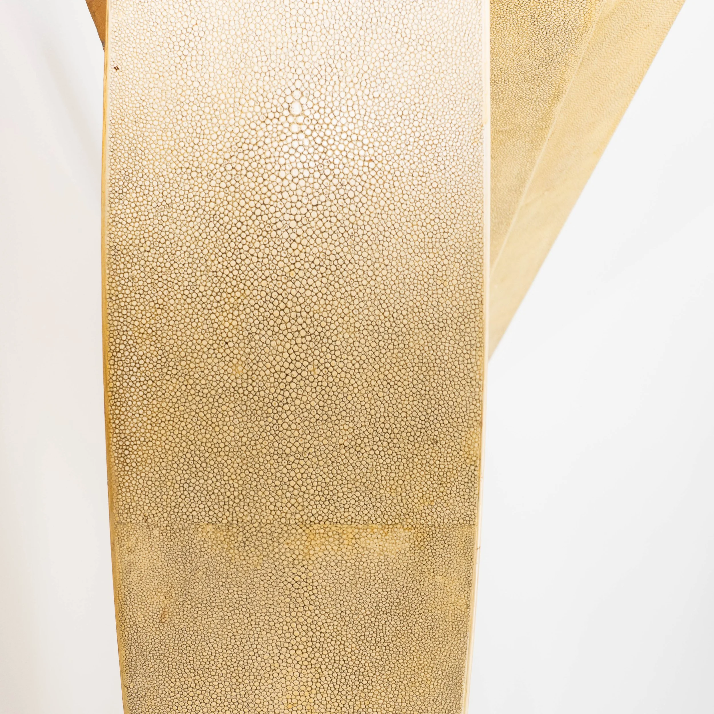 BD-20261002-07428.jpg