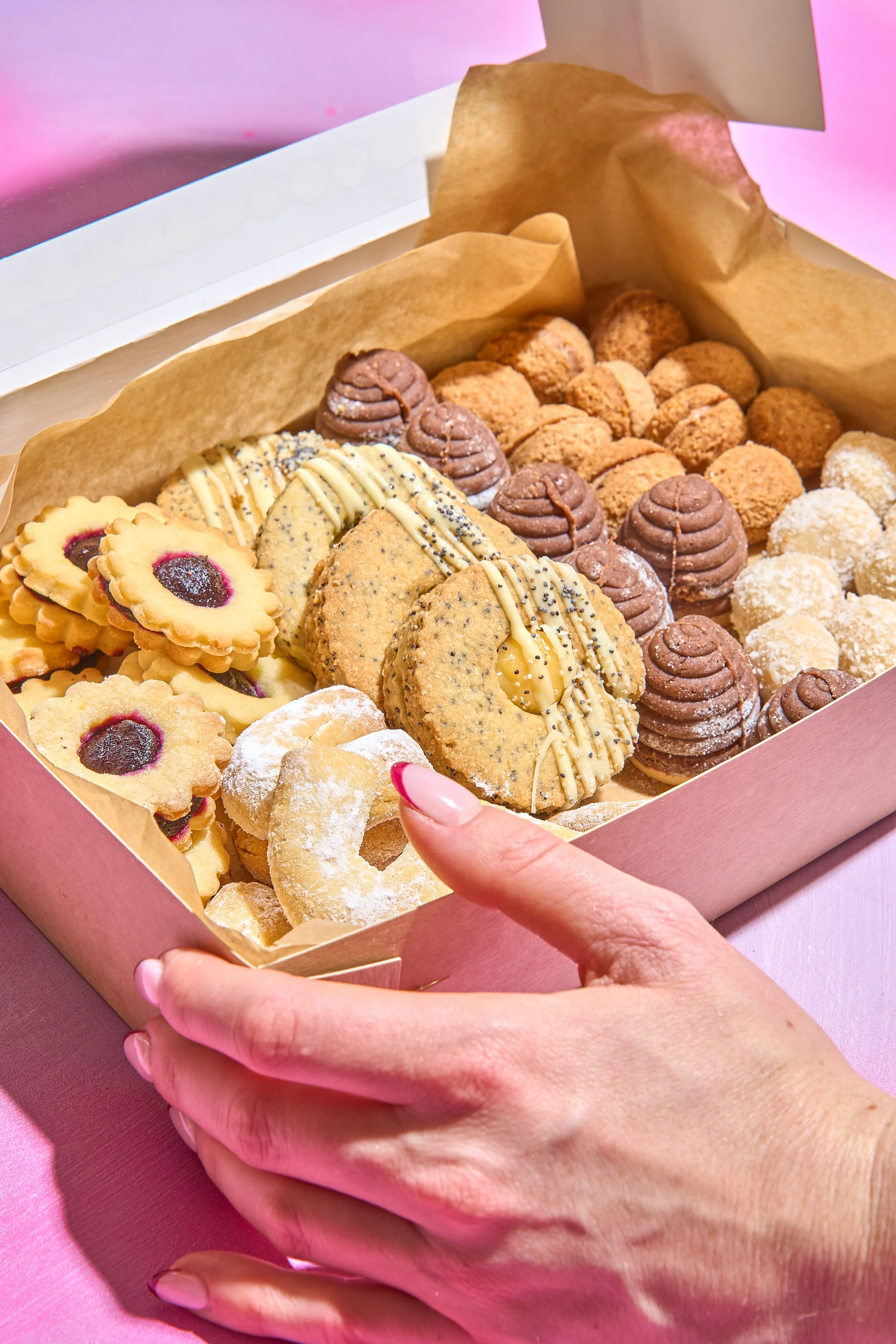 Untitled Catalog5545.jpg