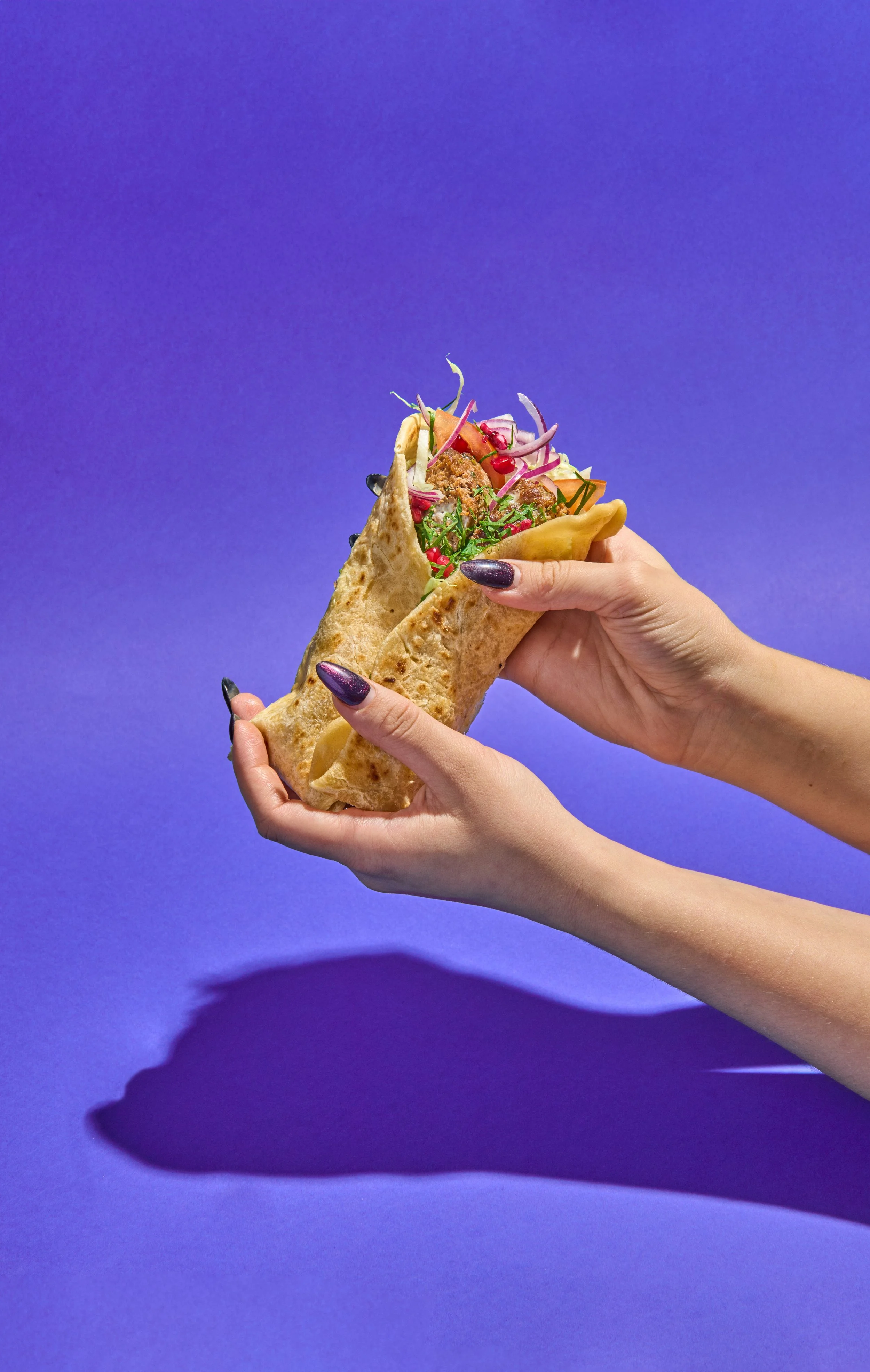 Untitled Catalog1016.jpg