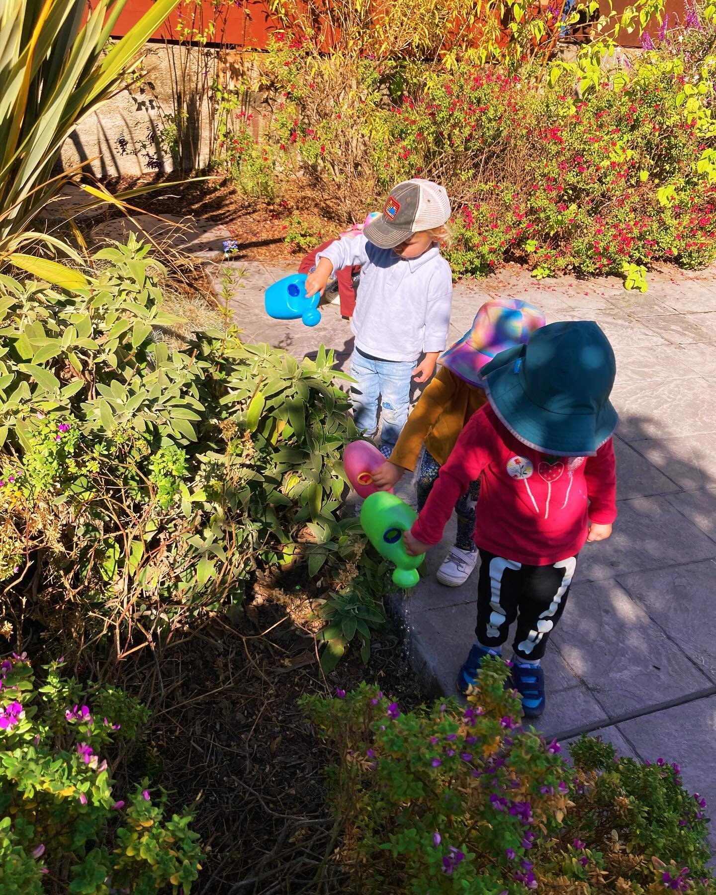 🪴💧 🌍💓
.
.
.
.
.
.
.
.
.
.
.
.

#sanfrancisco #sanfranciscokids #sanfranciscotoddler
#sanfranciscodaycare 
#sanfranciscochildcare 
#childcare #daycare
