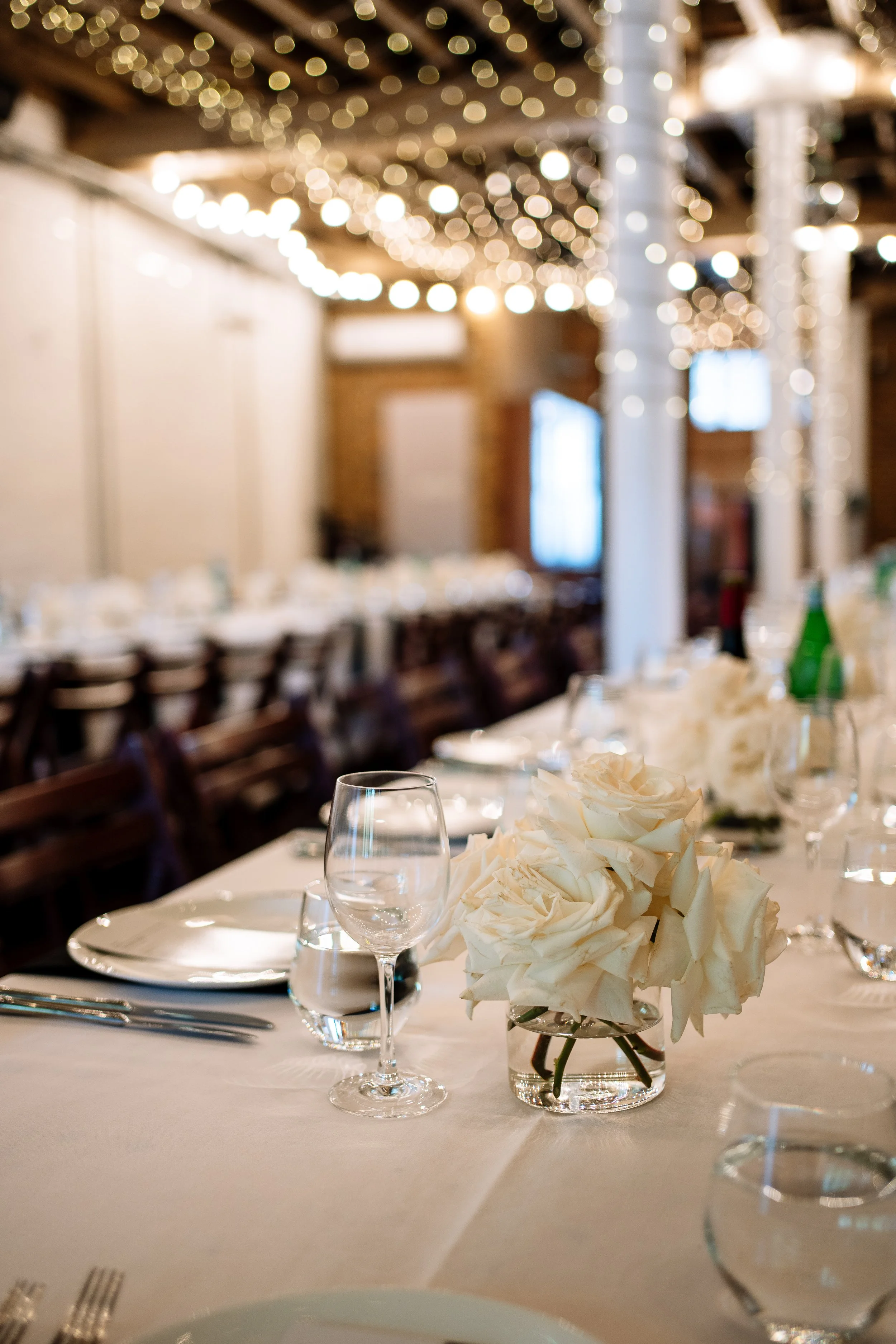 Lauran & Sam-1288.jpg