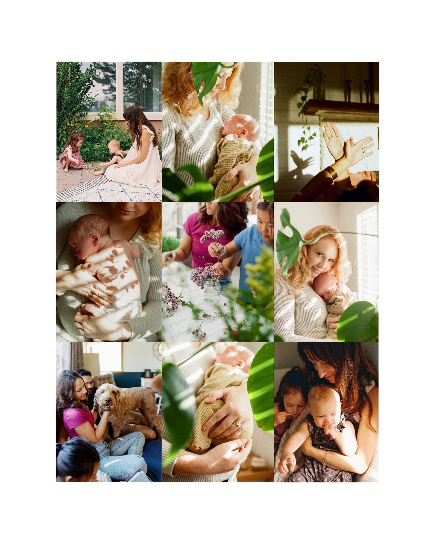 Favorite Film Photos, 2025 Edition. ❤️ Grateful to have captured so many beautiful people, moments, and apparently plants(?) this year! I'll be off Instagram all of January, but my contact page is linked in my profile if you'd like to make pictures t