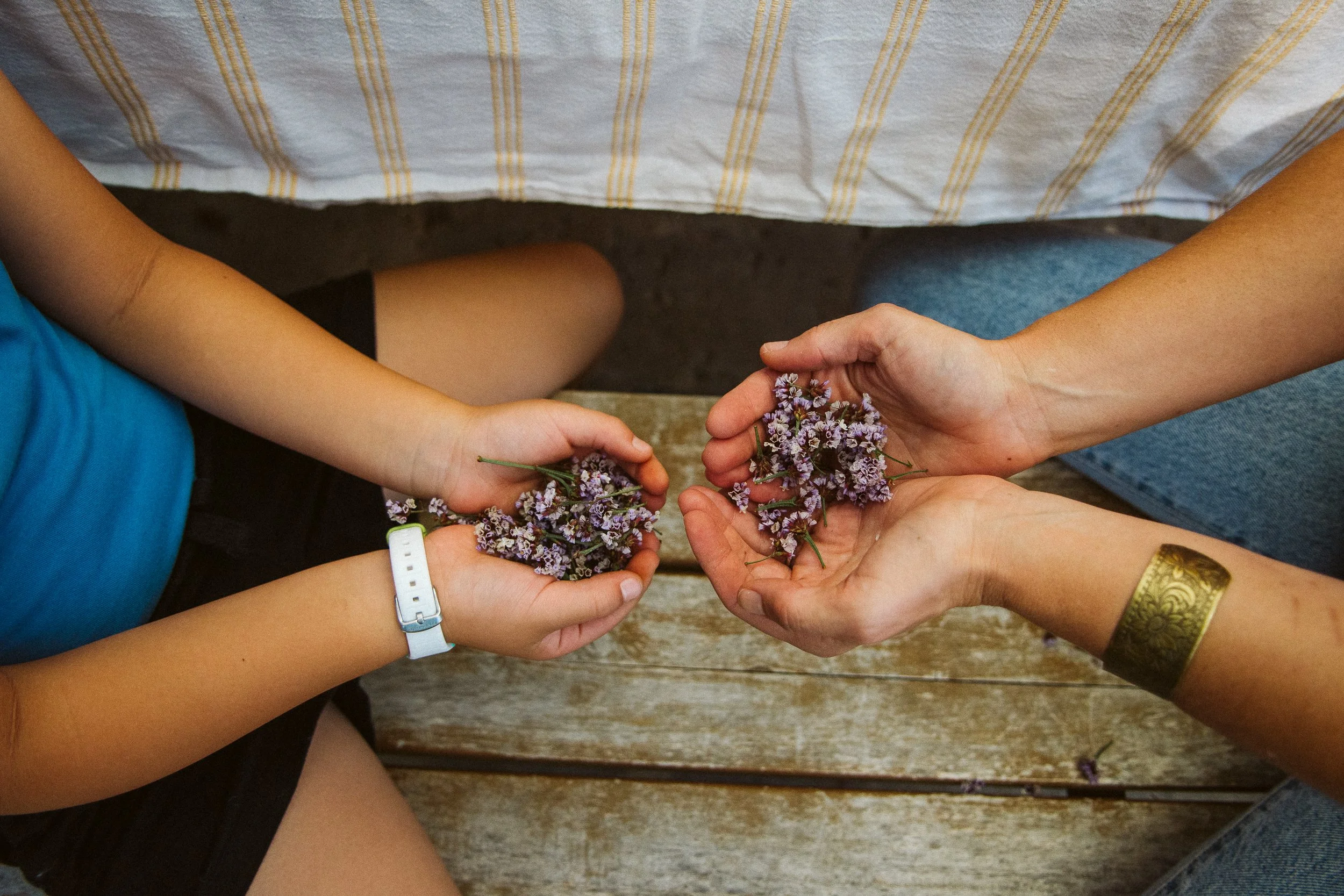 Ashlee Gadd Photography | San Diego Family Photos-18.jpg