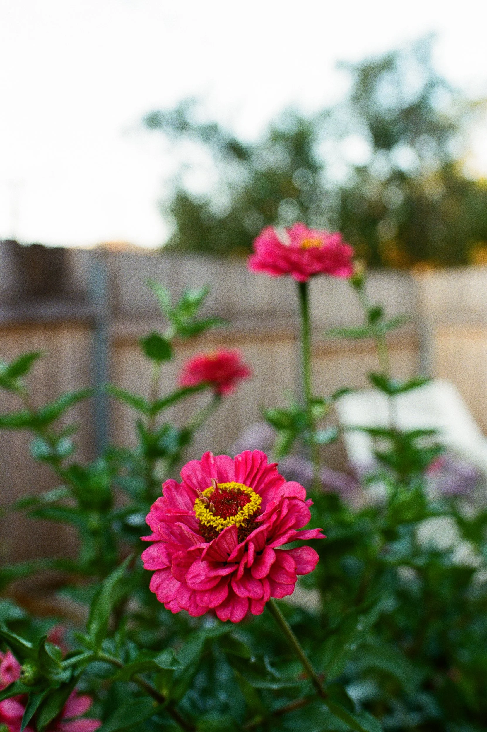 Ashlee Gadd Photography | San Diego Family Photos-27.jpg