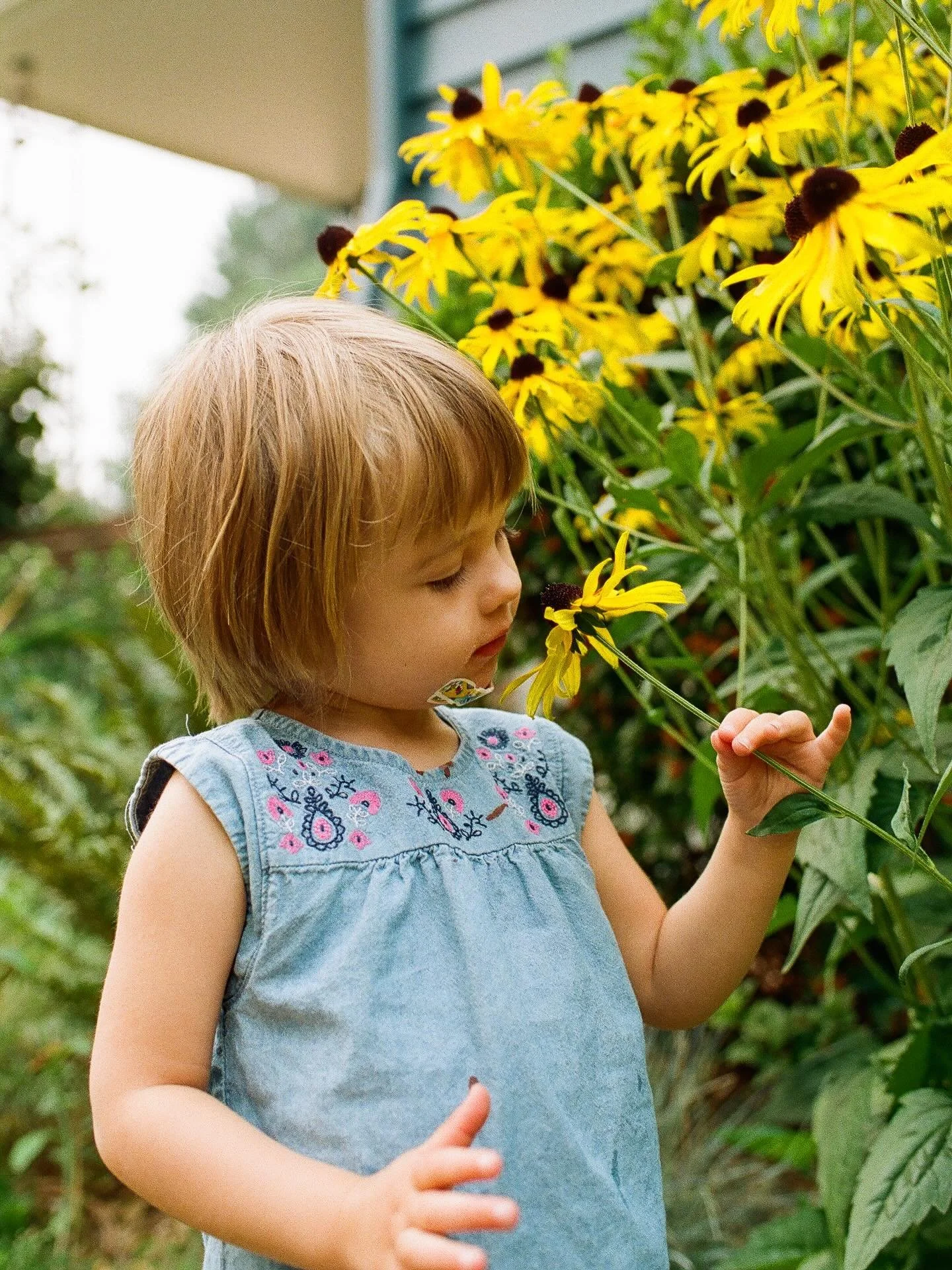 A color story: pop of yellow edition 💛🌼🐝🟡

35mm film, scanned by @thefindlab 

#homeiswheretheheartis #sacramentophotographer #norcalphotographer #theartofmotherhood #acolorstory